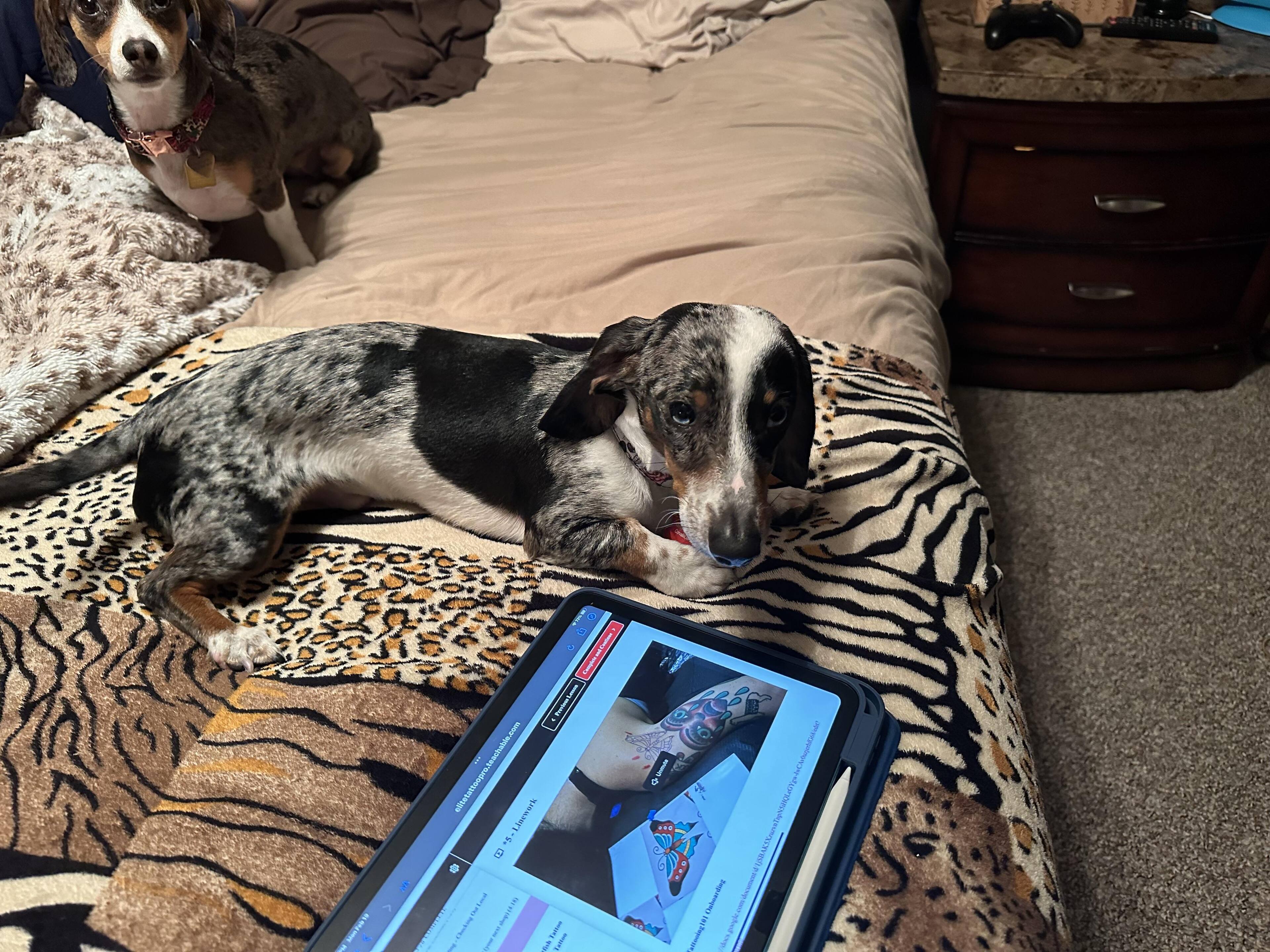 Customer provided, click to load a larger version