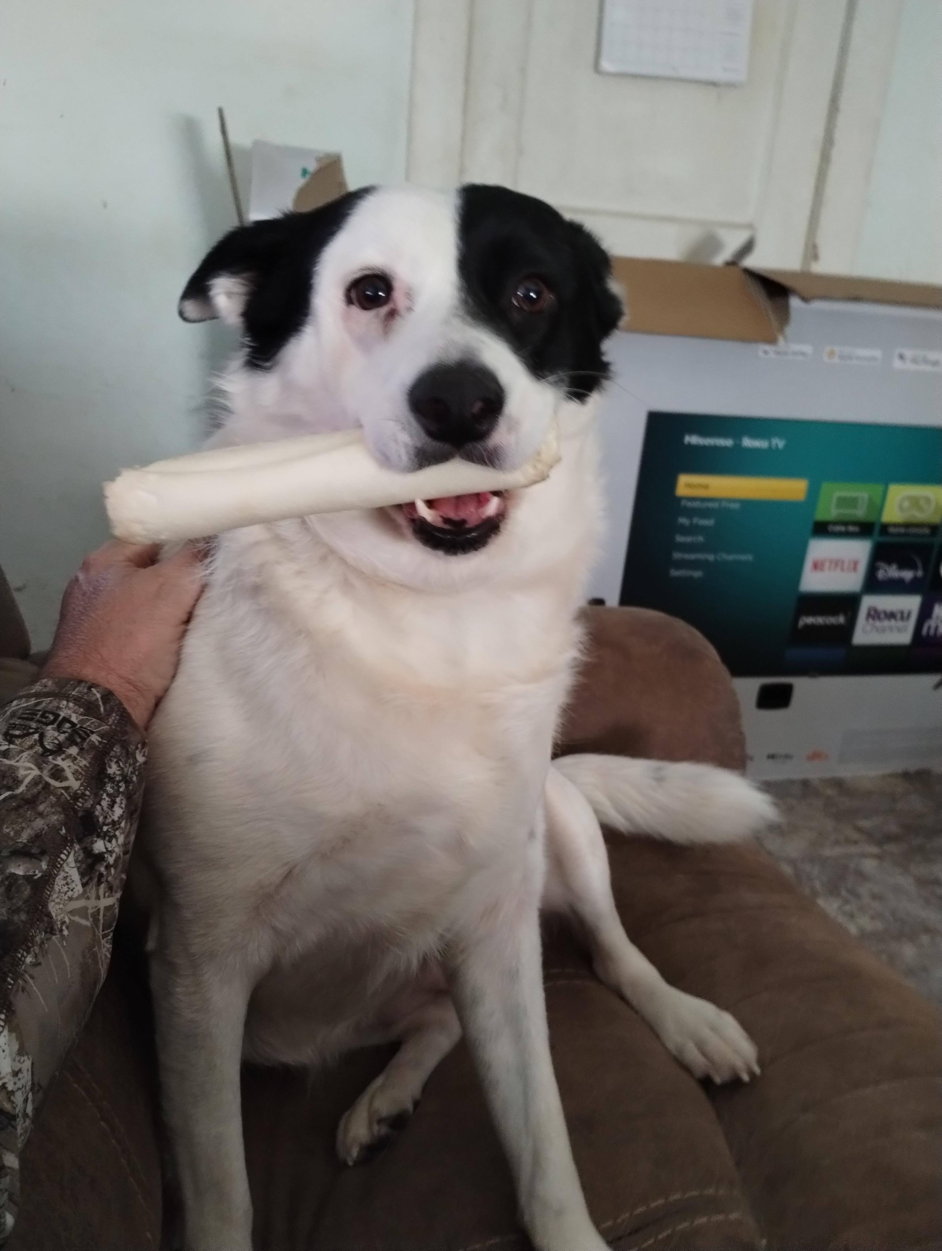 Customer provided, click to load a larger version