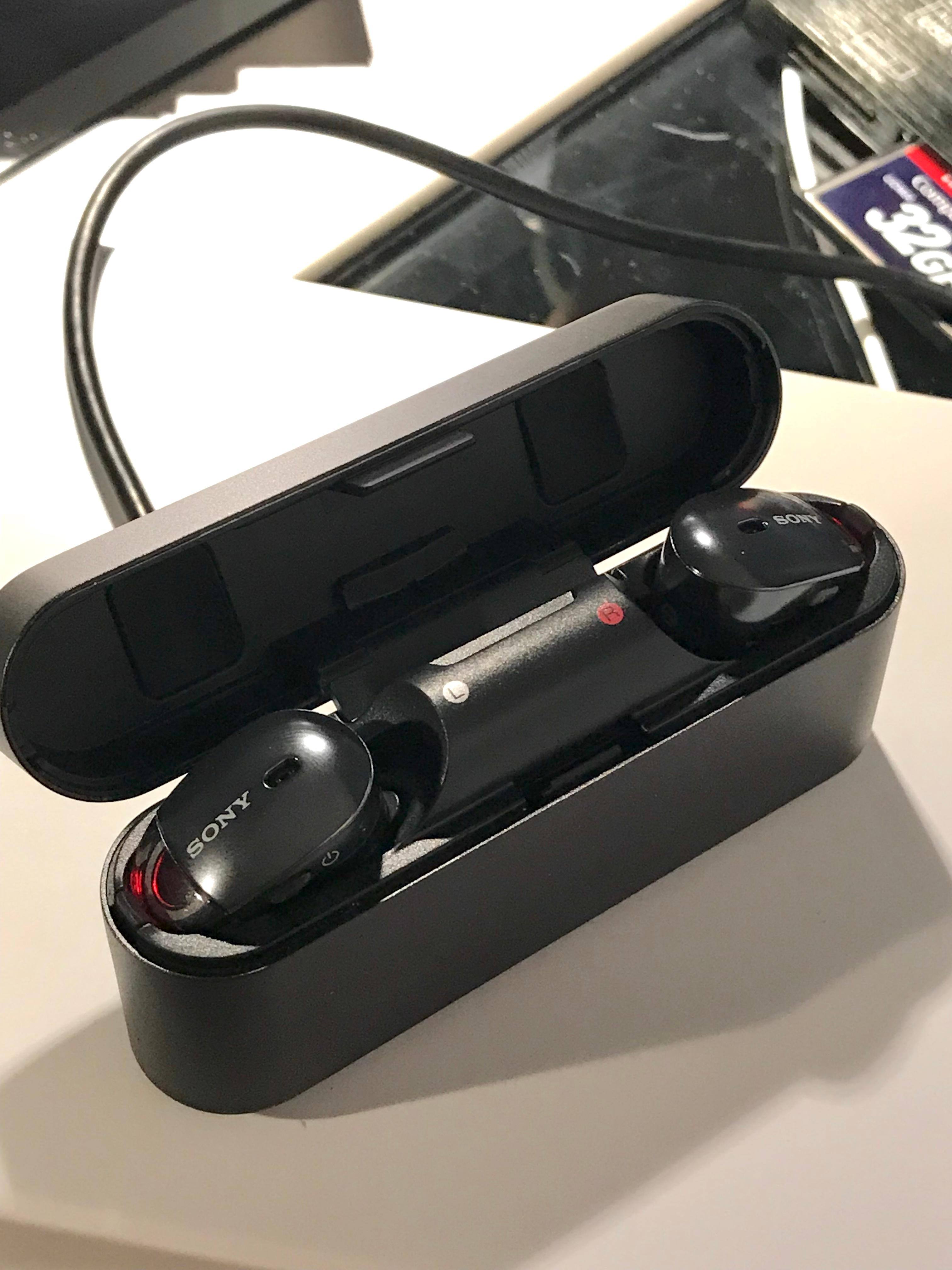 Charging Case, click to load a larger version