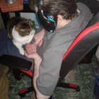 Even my cats thinks my headset is cool, click to load a larger version