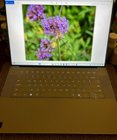 (note - photo on screen taken by me):  The 16.3 inch 1080p screen is colorful and bright.  Details are good, but at this price point I would really have liked to have seen a 2K or 4K screen.  It's not a touch screen., click to load a larger version