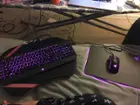 My Razer Babies!, click to load a larger version