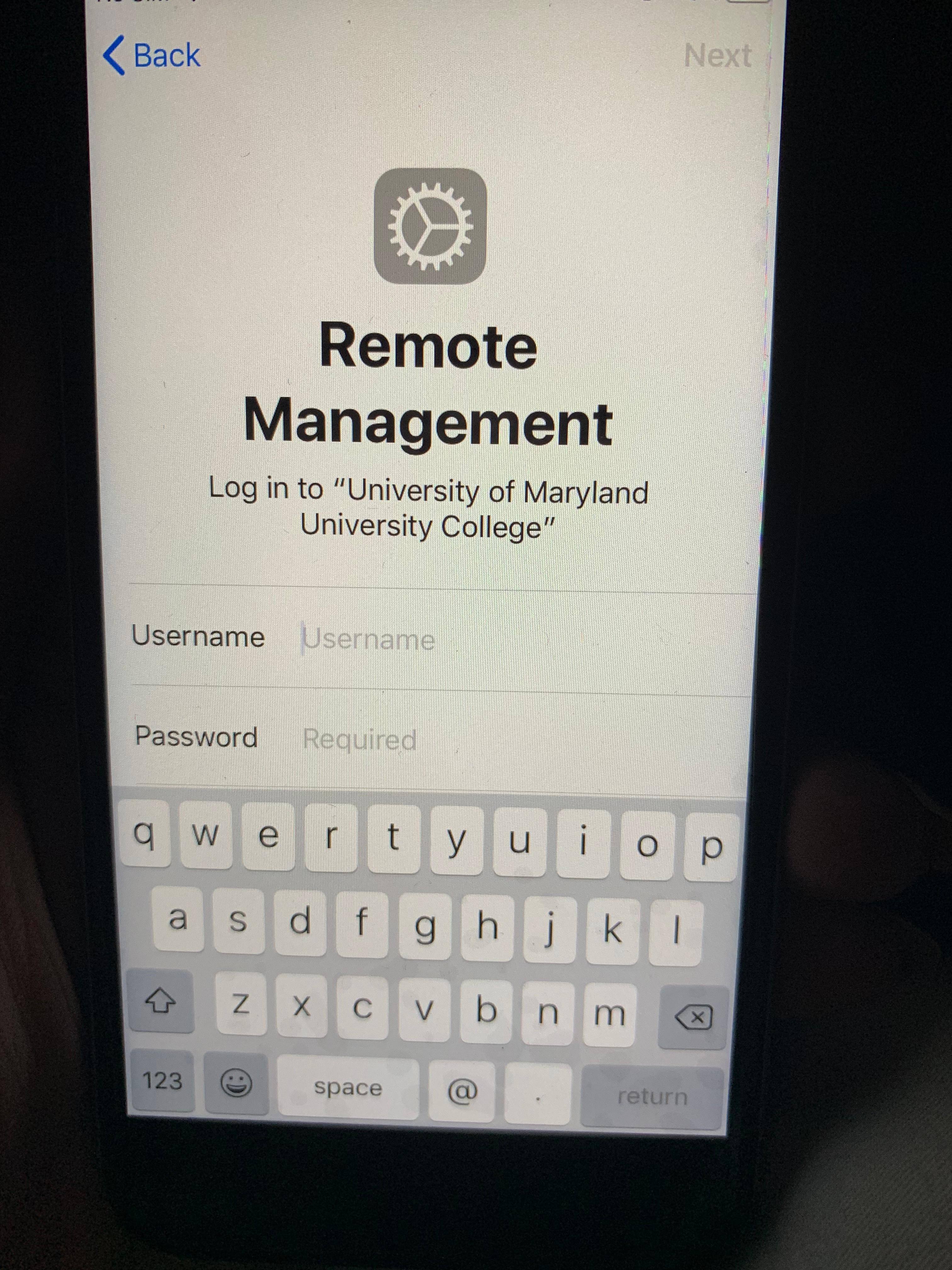 No clue, click to load a larger version