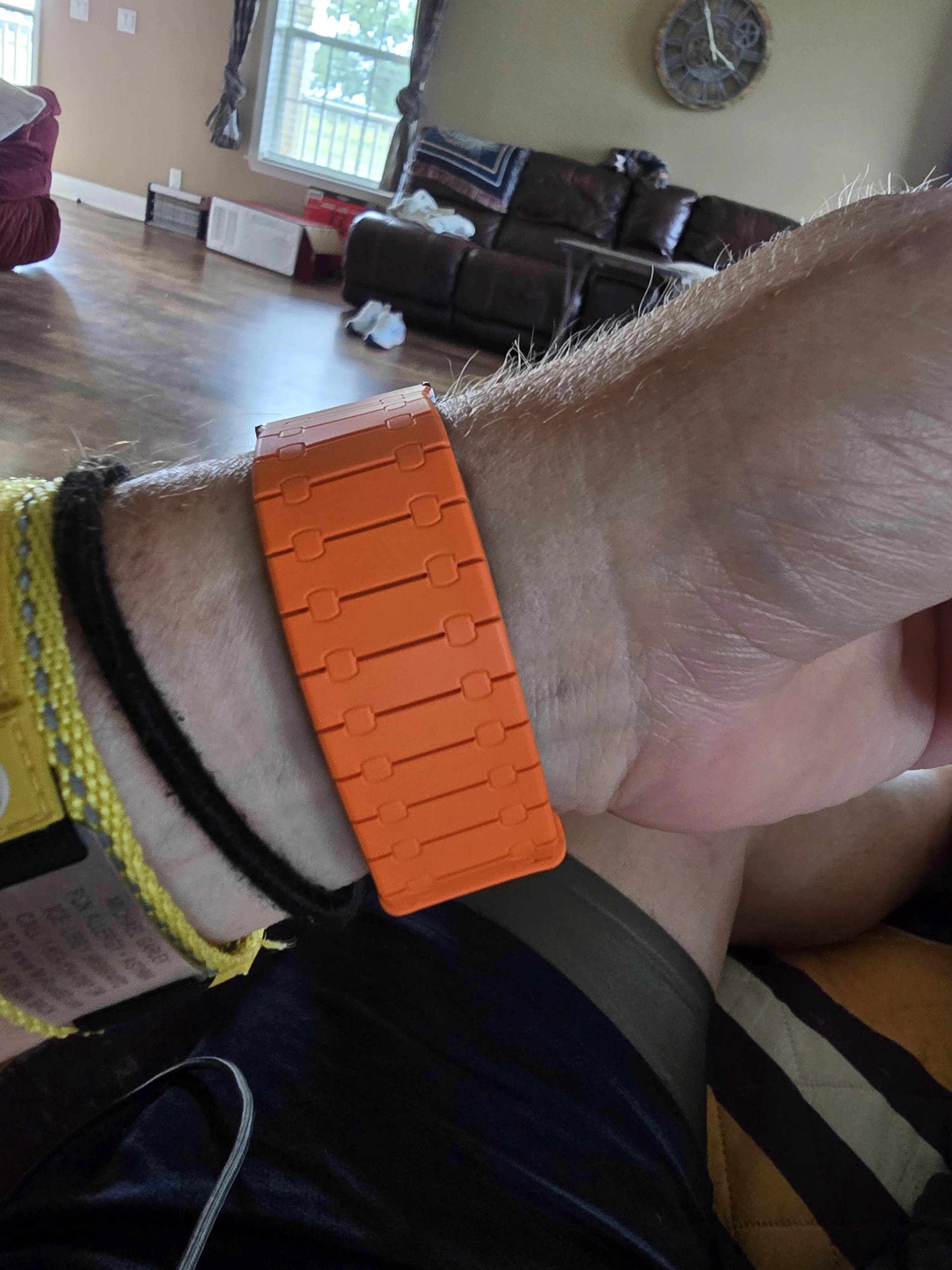 Customer provided image, click to load a larger version