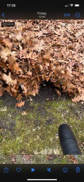 Video Image 1, click to load a larger version