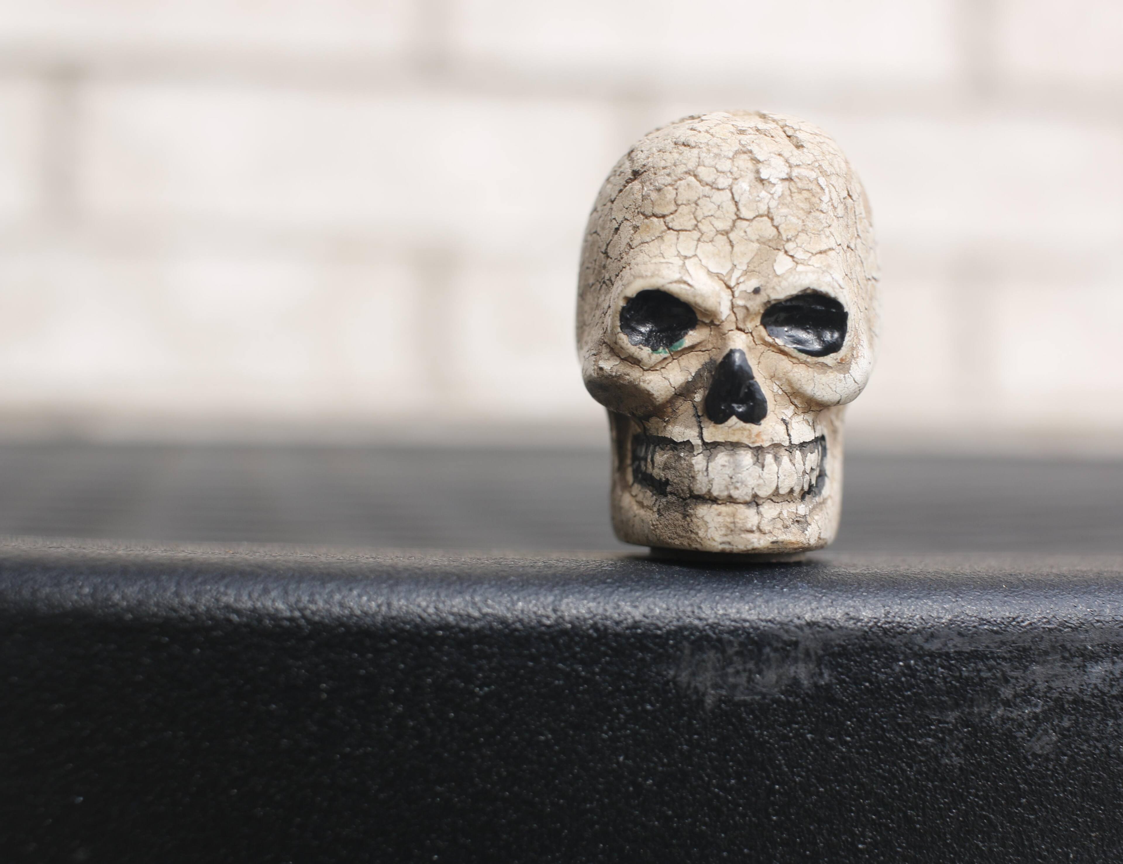 Skull is 1 inch tall. Iused a 24 mm pancake lens, click to load a larger version