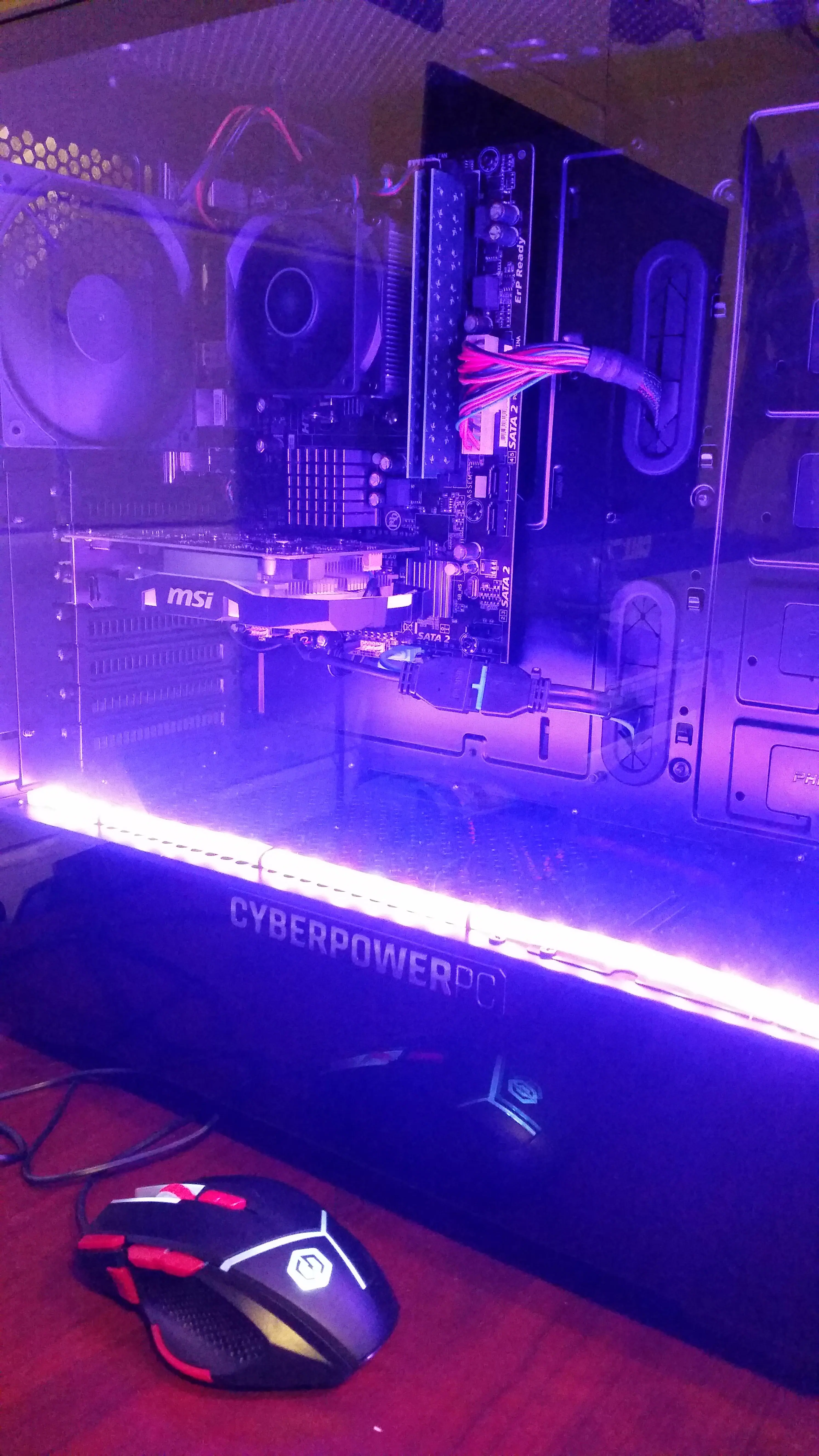 Turned on displaying one of many different color options, click to load a larger version