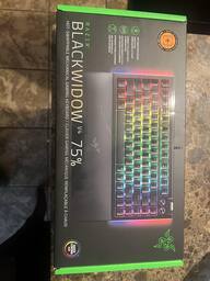 Buy Razer BlackWidow V4 X Full Size Wired Mechanical Green