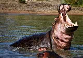 Can you see my cavity yet?, click to load a larger version