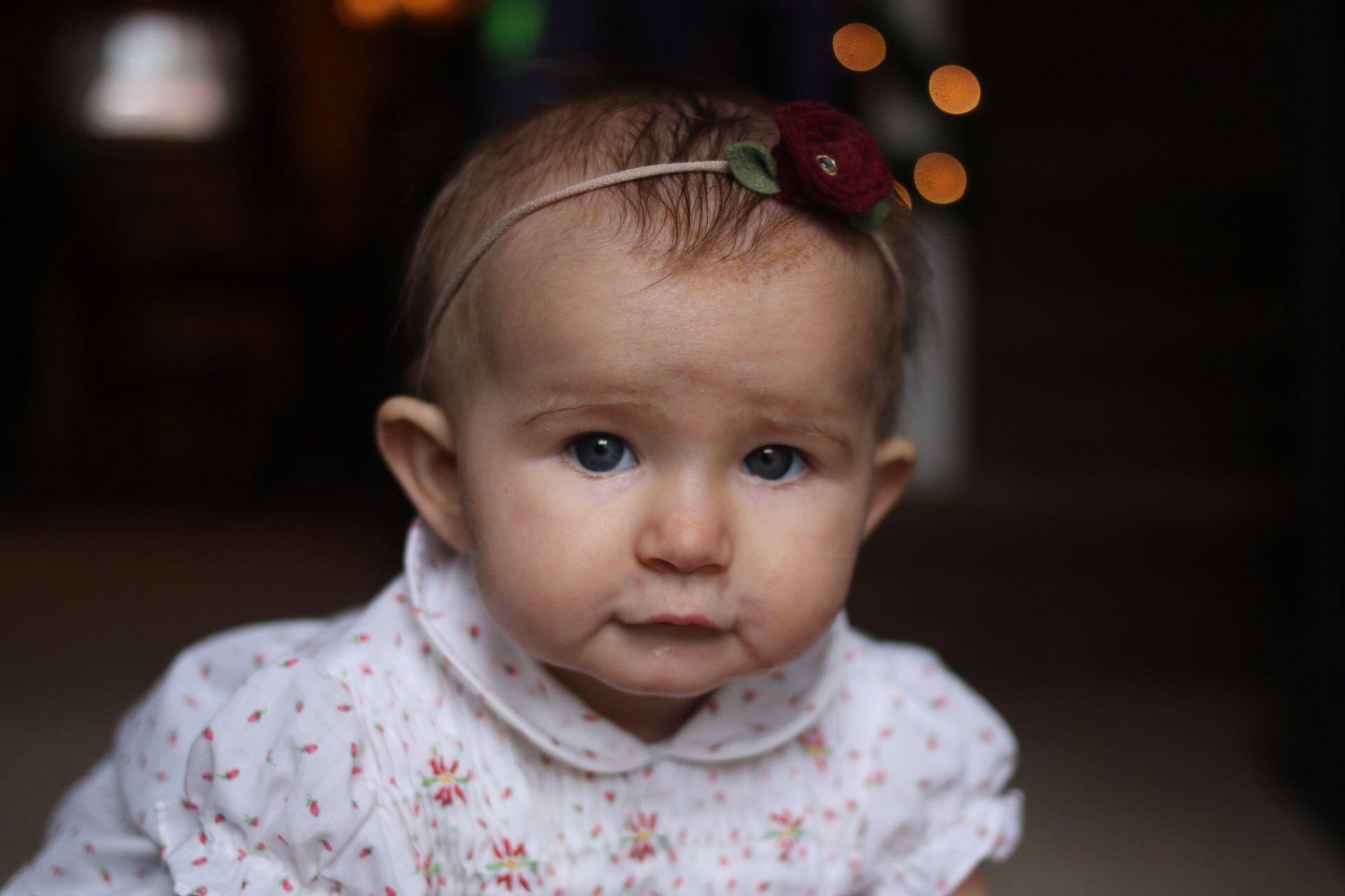 Low light, 800 ISO, click to load a larger version