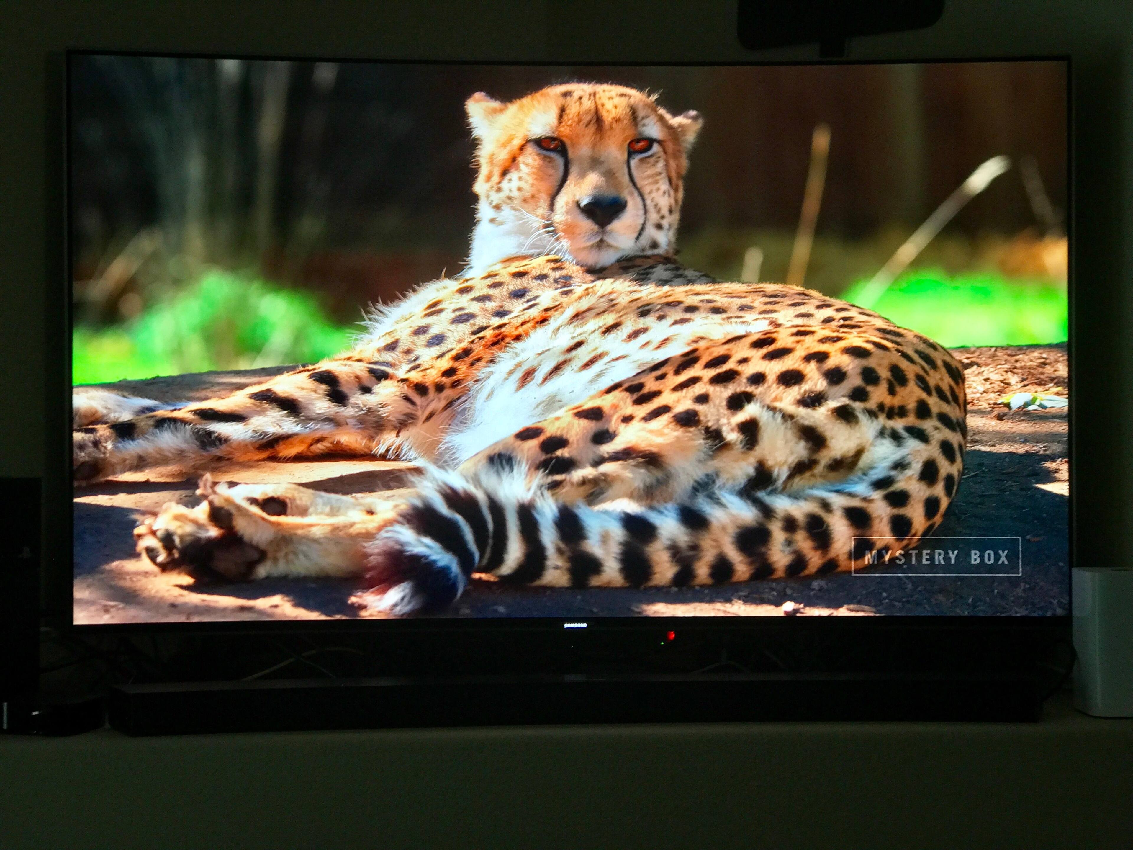 4K video via YouTube, click to load a larger version