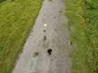 Drone Flying, click to load a larger version