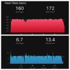 Garmin (red is heart rate and blue is running pace), click to load a larger version