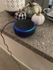 Customer Reviews:  Echo Dot (3rd Gen) Smart Speaker with Alexa Plum  B07W95GZNH - Best Buy