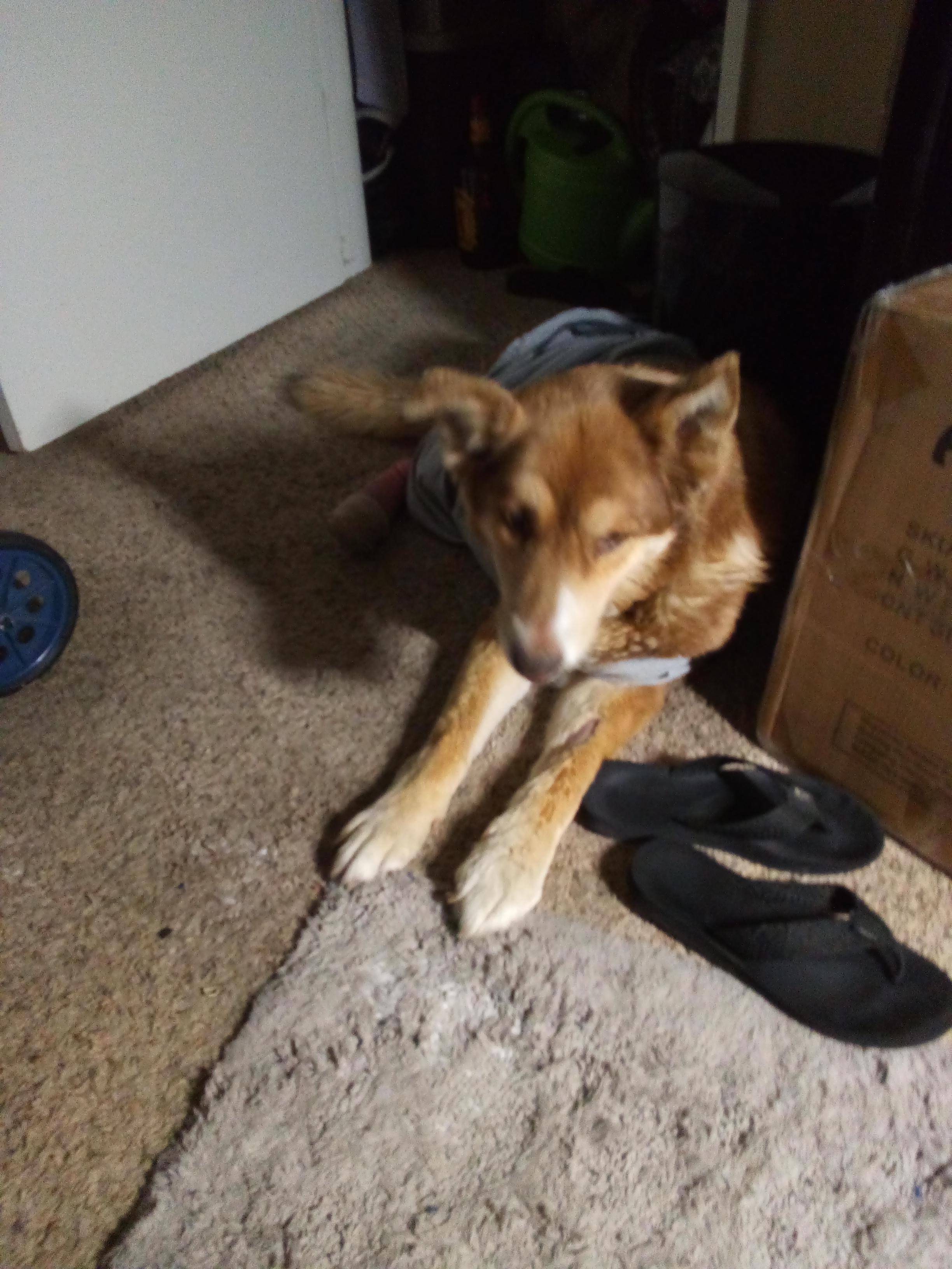 Customer provided, click to load a larger version