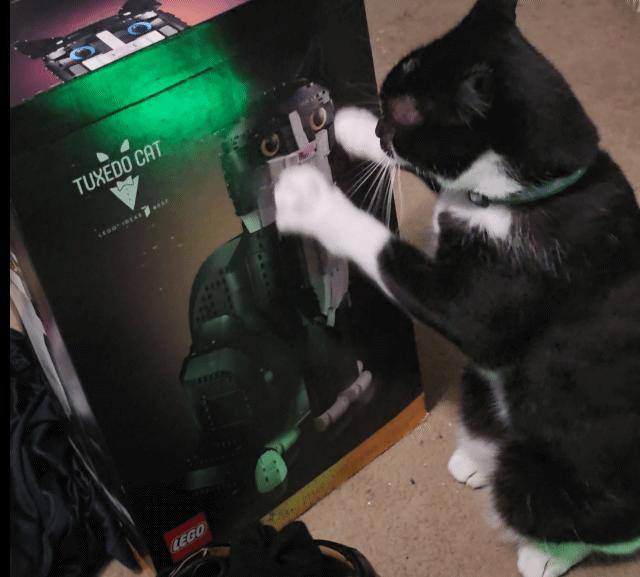 Customer provided image, click to load a larger version