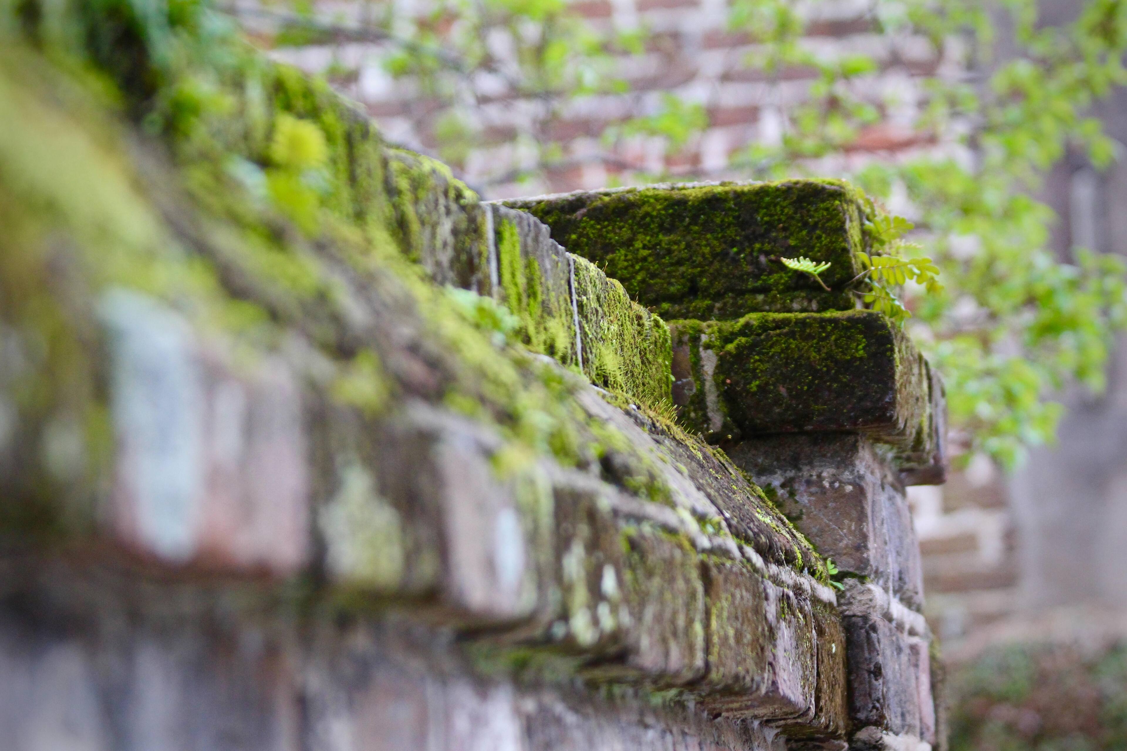 amazing print, click to load a larger version