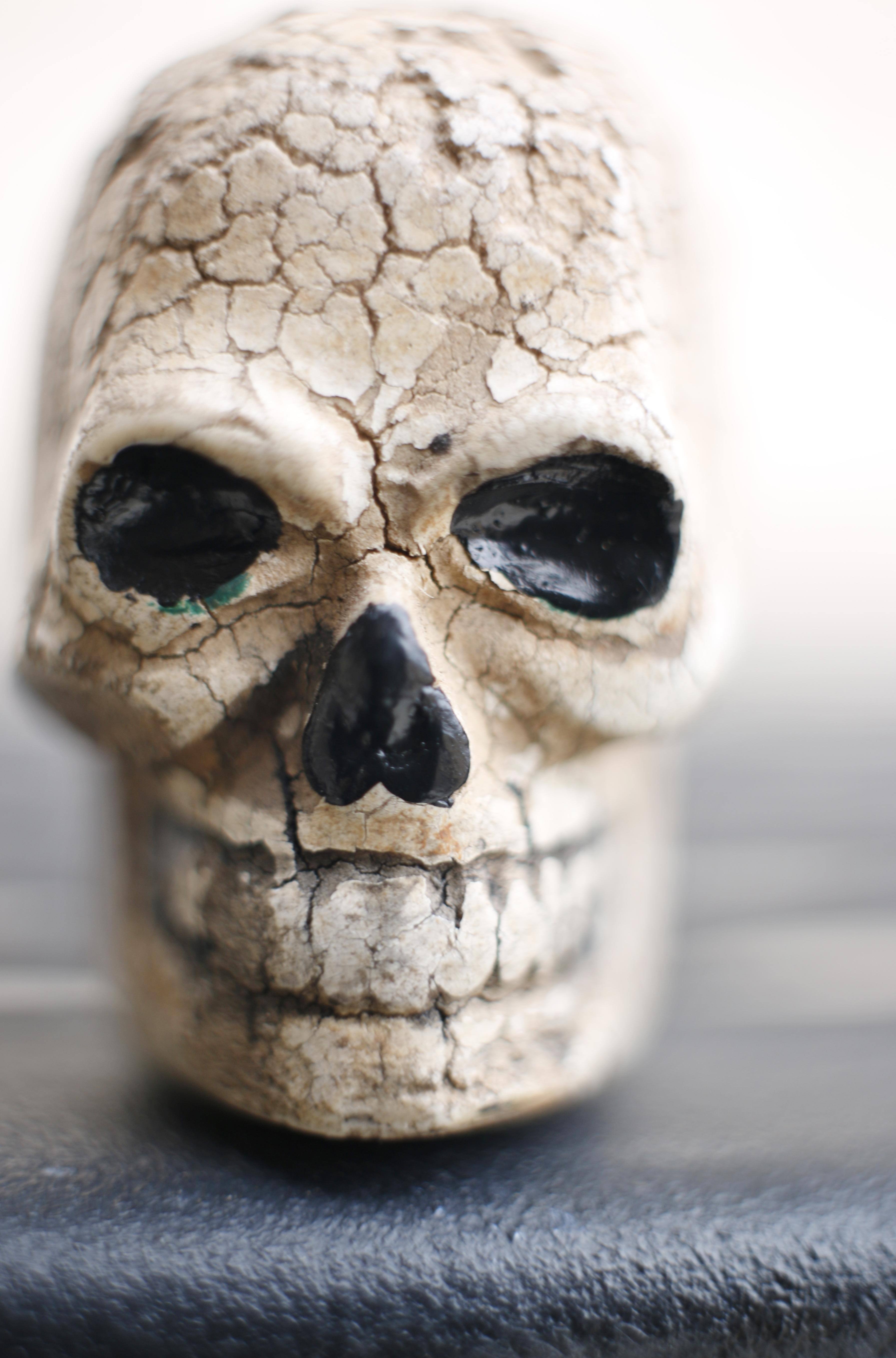 24 mm pancake lens with 20mm extention tube, click to load a larger version