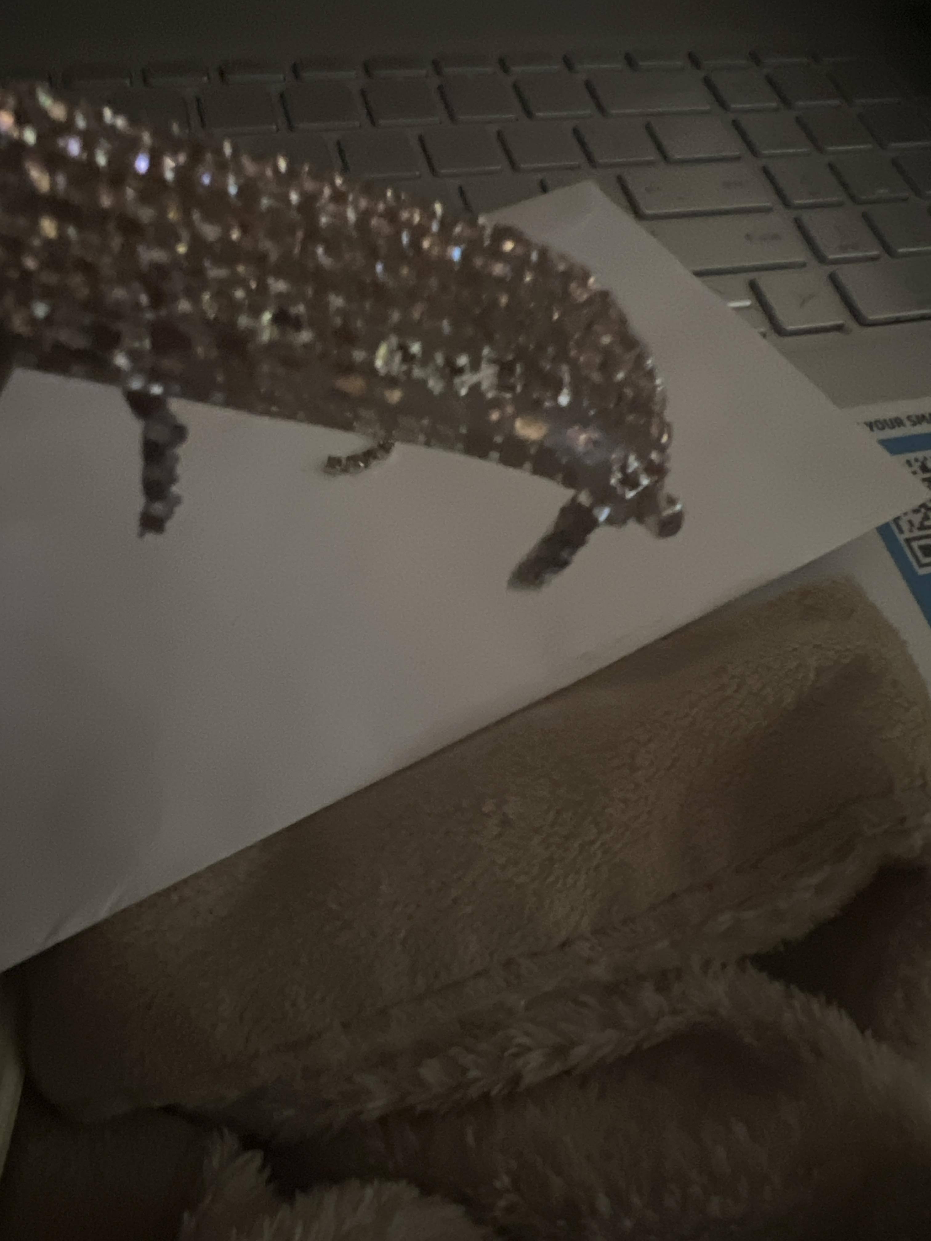 Customer provided image, click to load a larger version