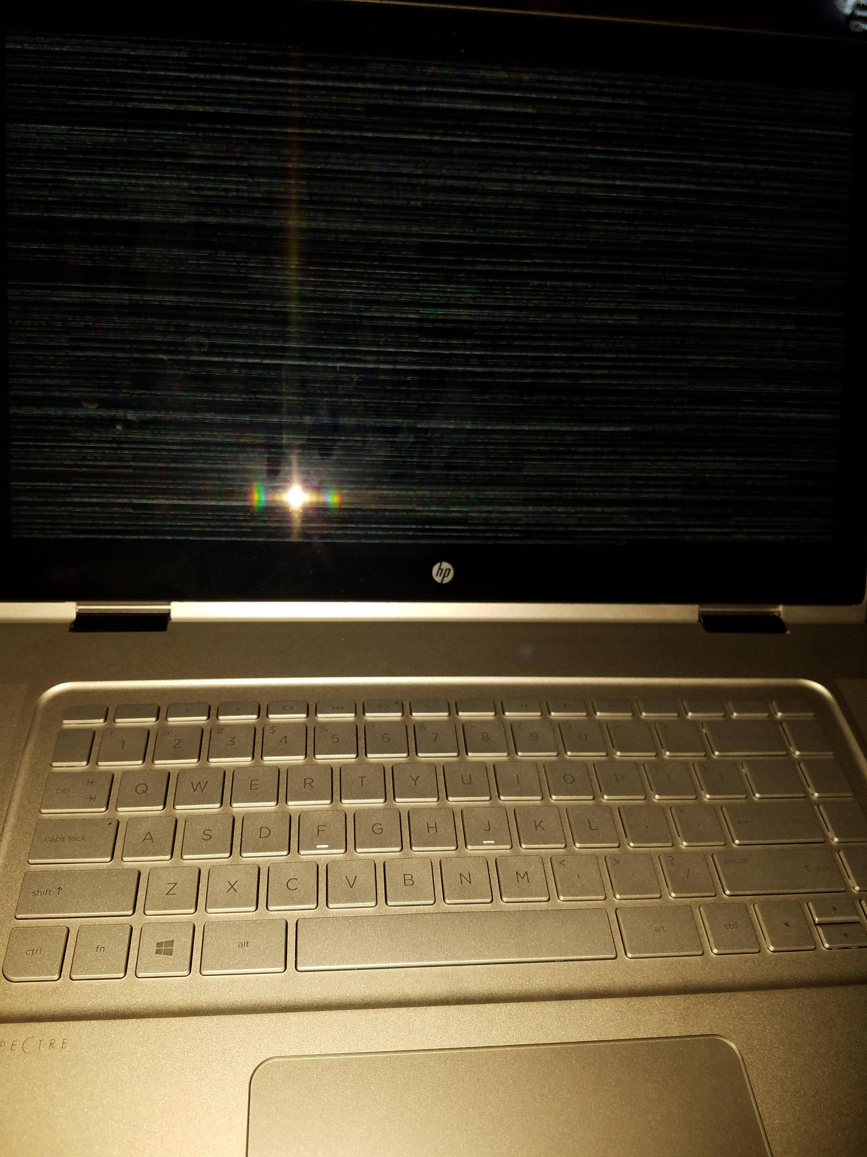 1 Day old HP SPECTRE, click to load a larger version