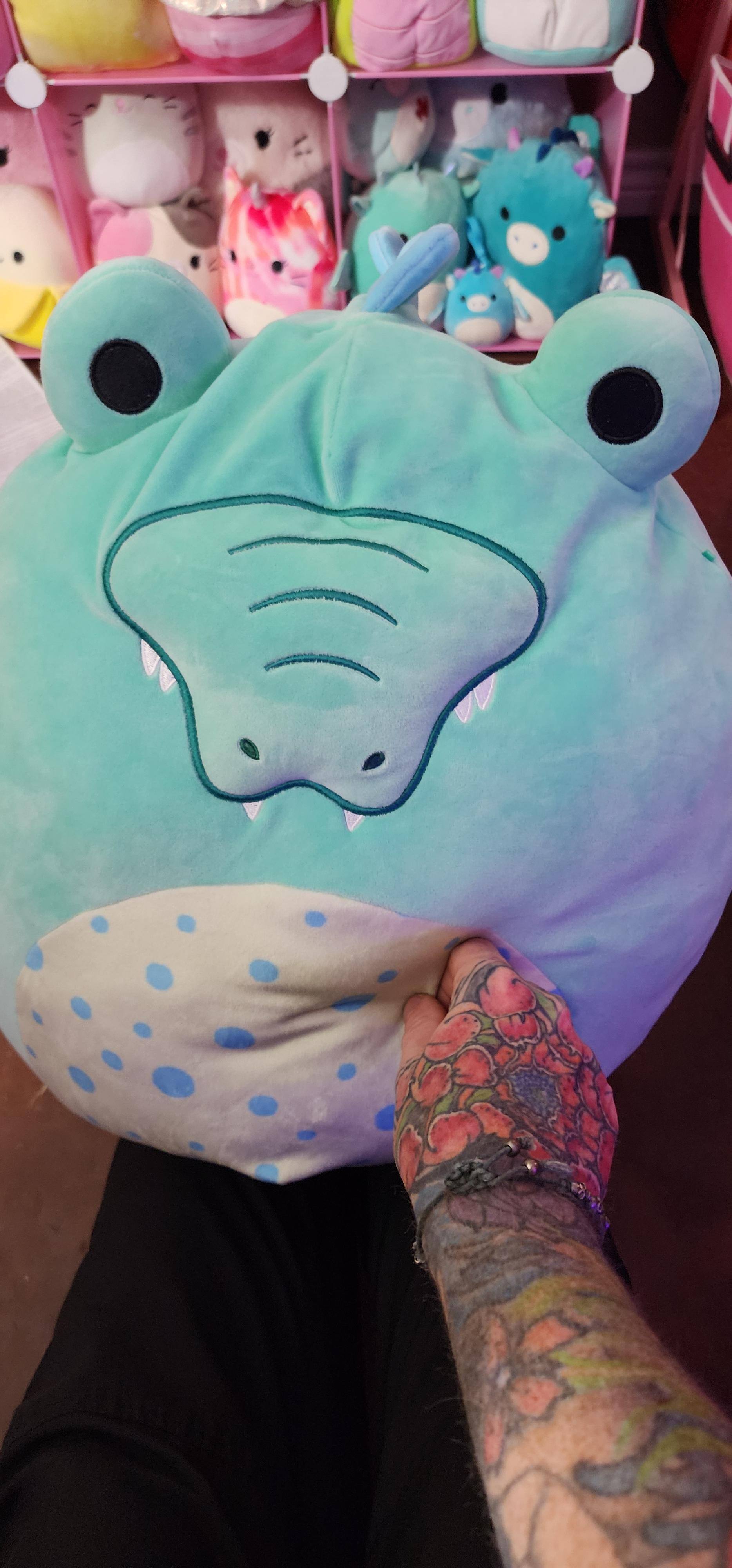 Customer provided, click to load a larger version