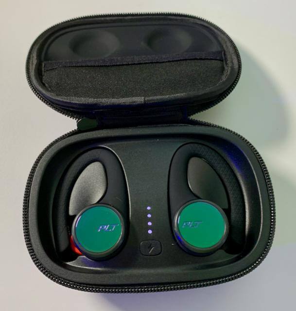 Buds in case; left bud on the right., click to load a larger version