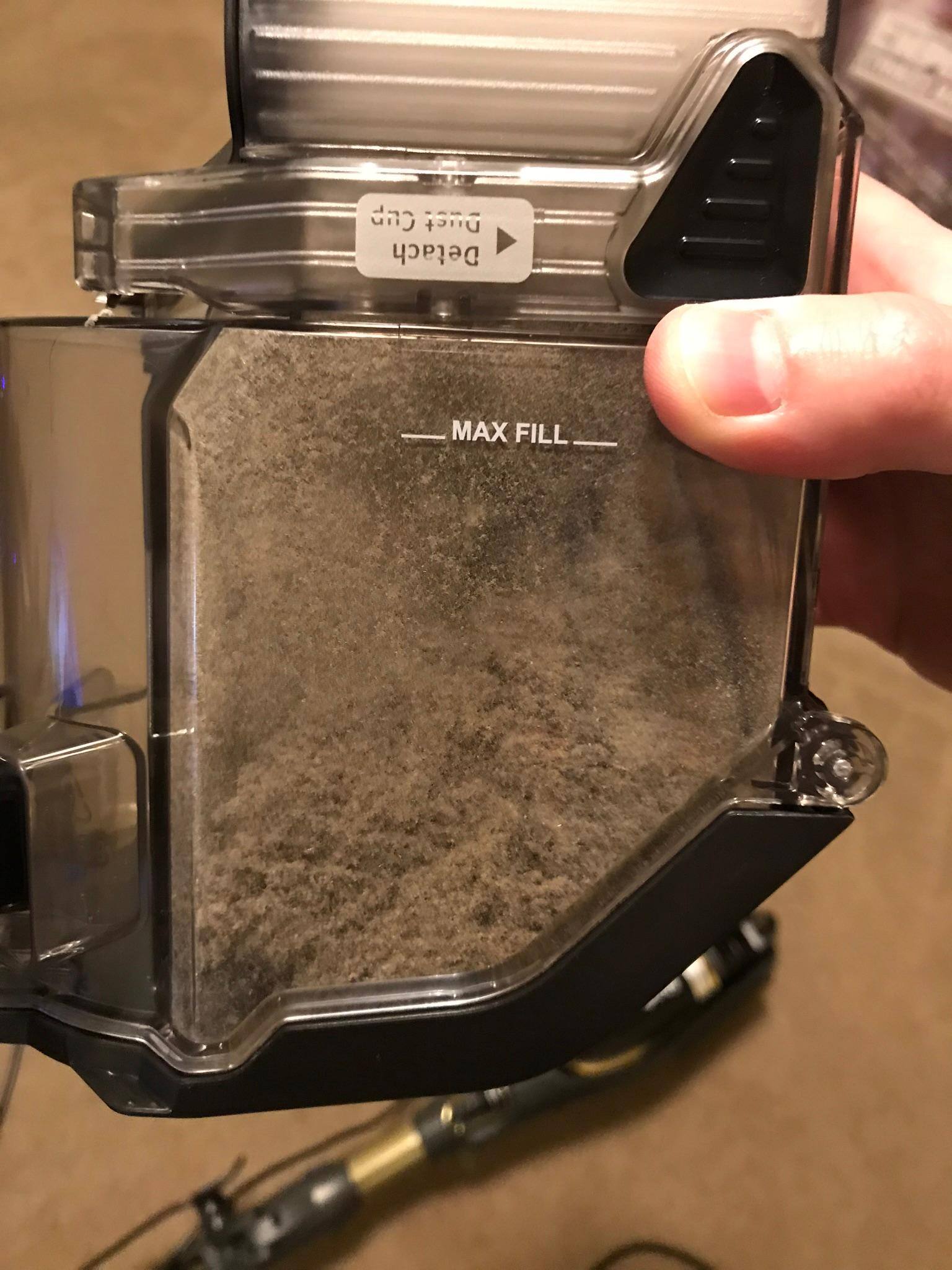 Room I had Just Vacuumed with Another Vac After I Followed Up with the SharkFlex, click to load a larger version