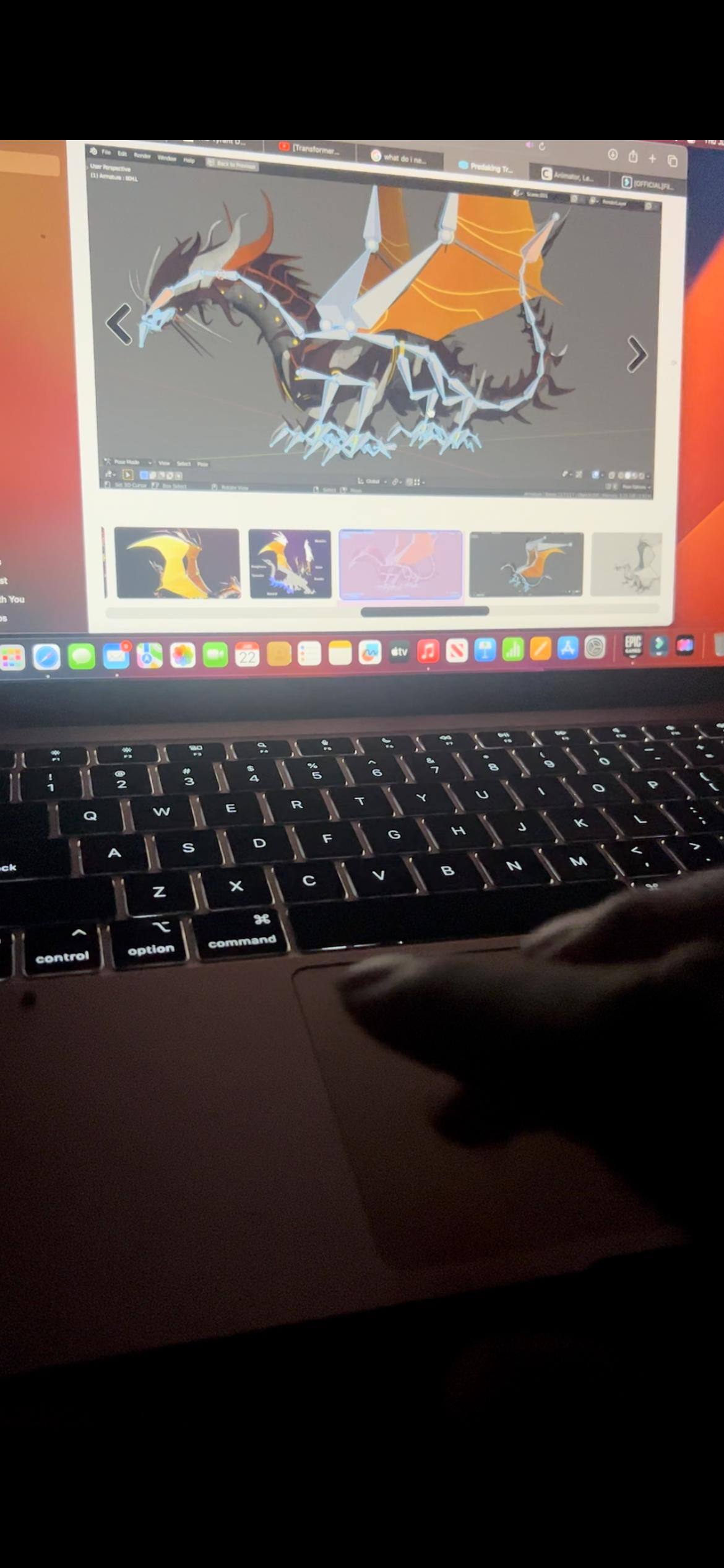 Customer provided, click to load a larger version