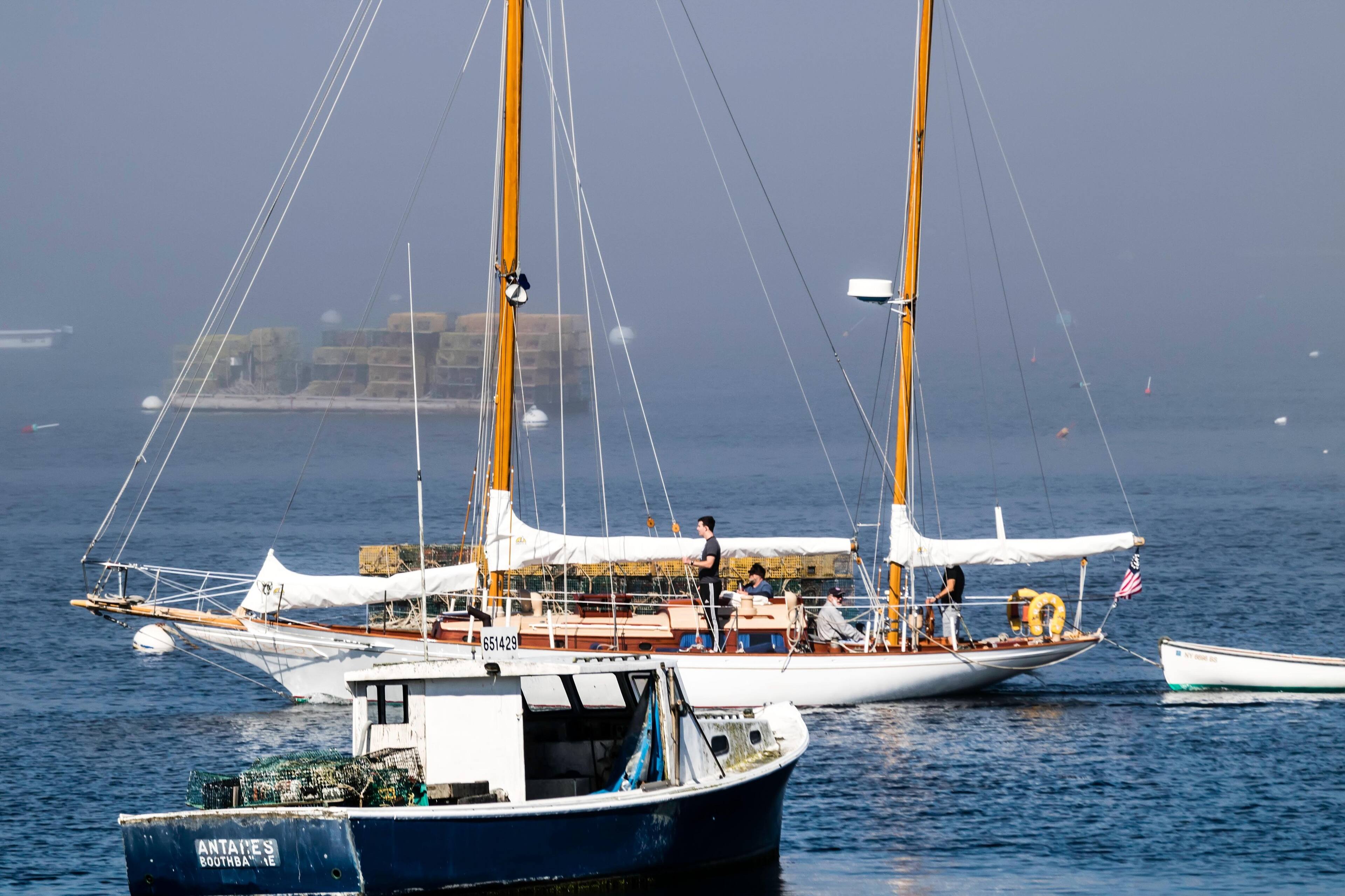 Very foggy 300mm, click to load a larger version