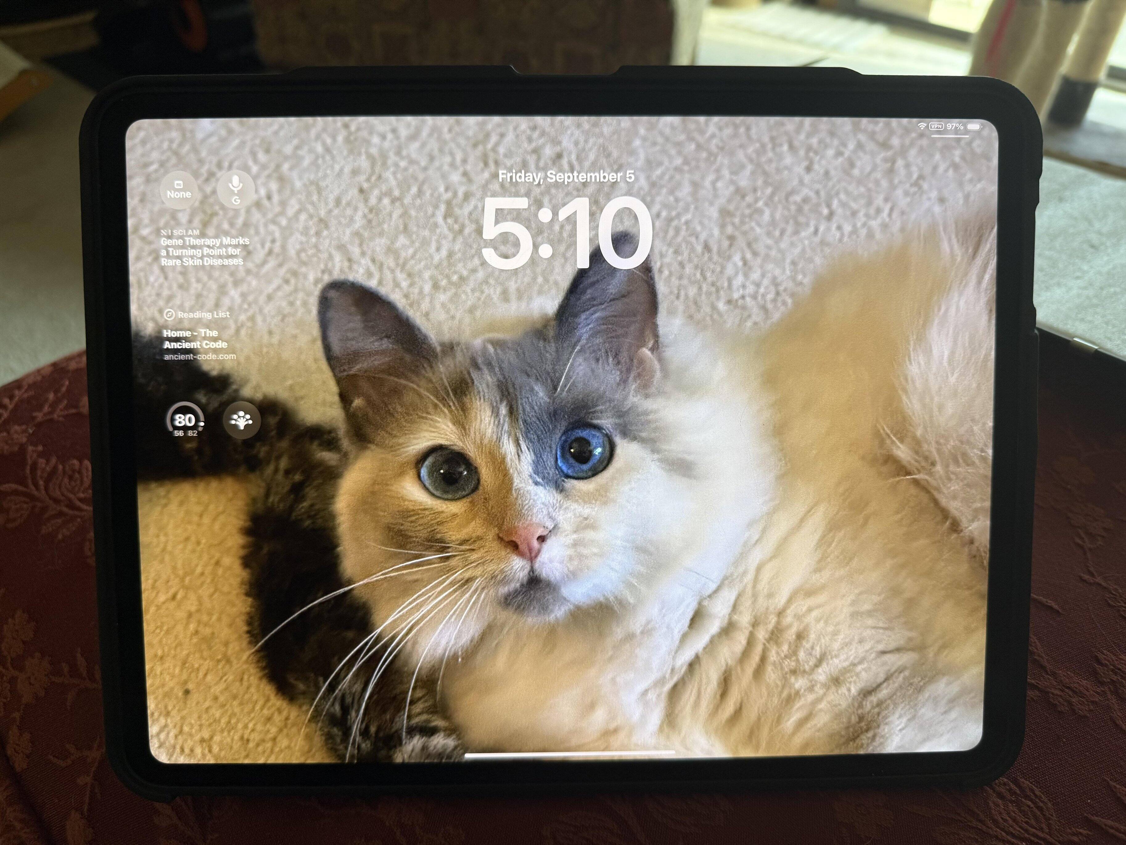 Customer provided image, click to load a larger version