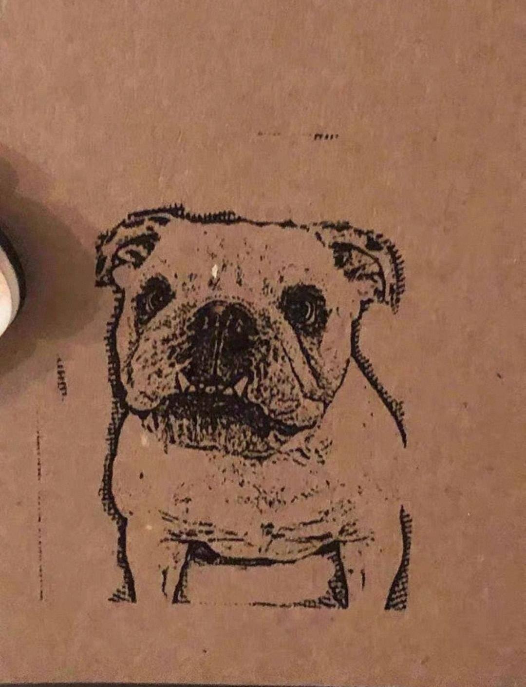 Customer provided image, click to load a larger version