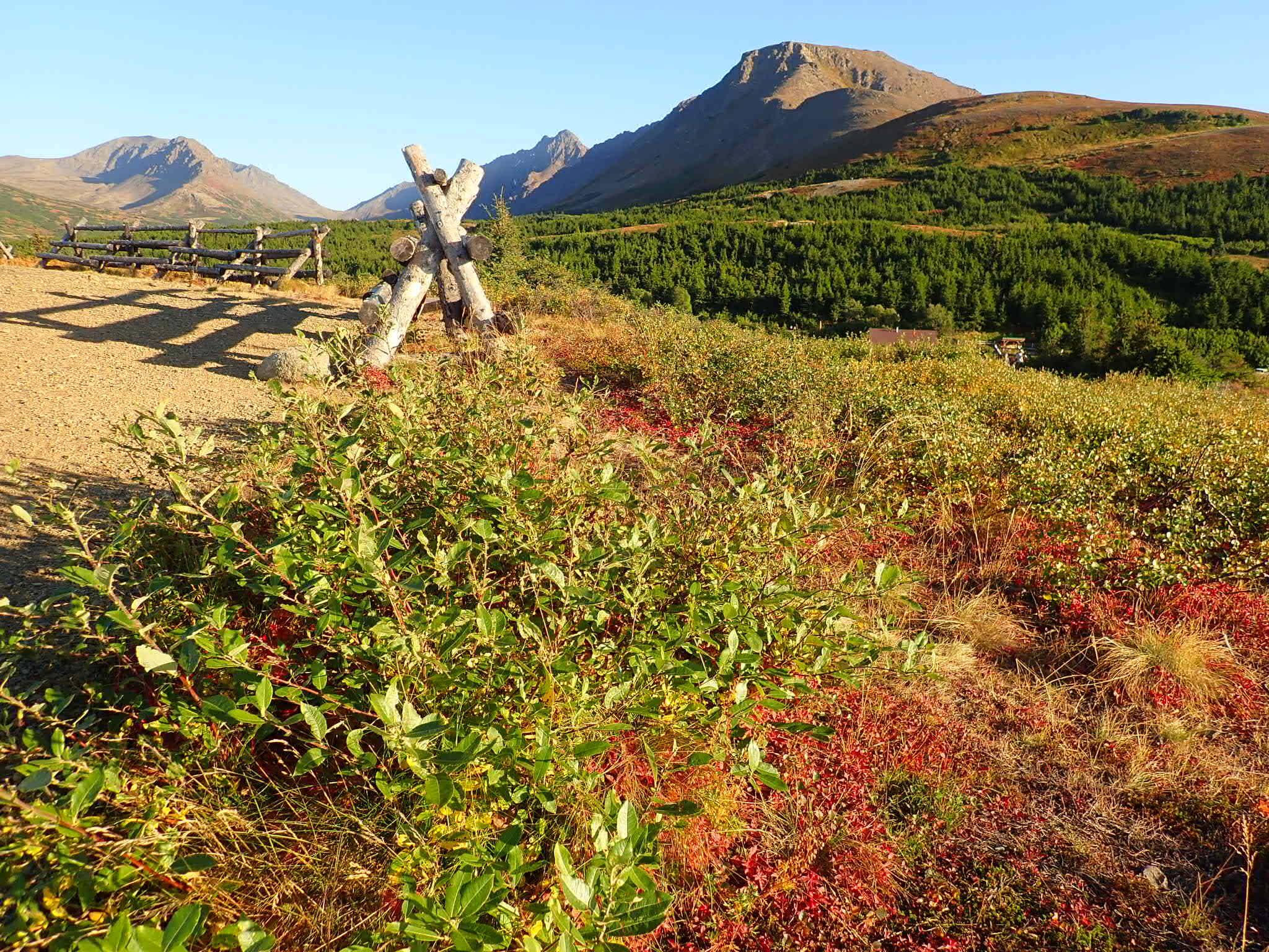 Ak...taken w camera, click to load a larger version