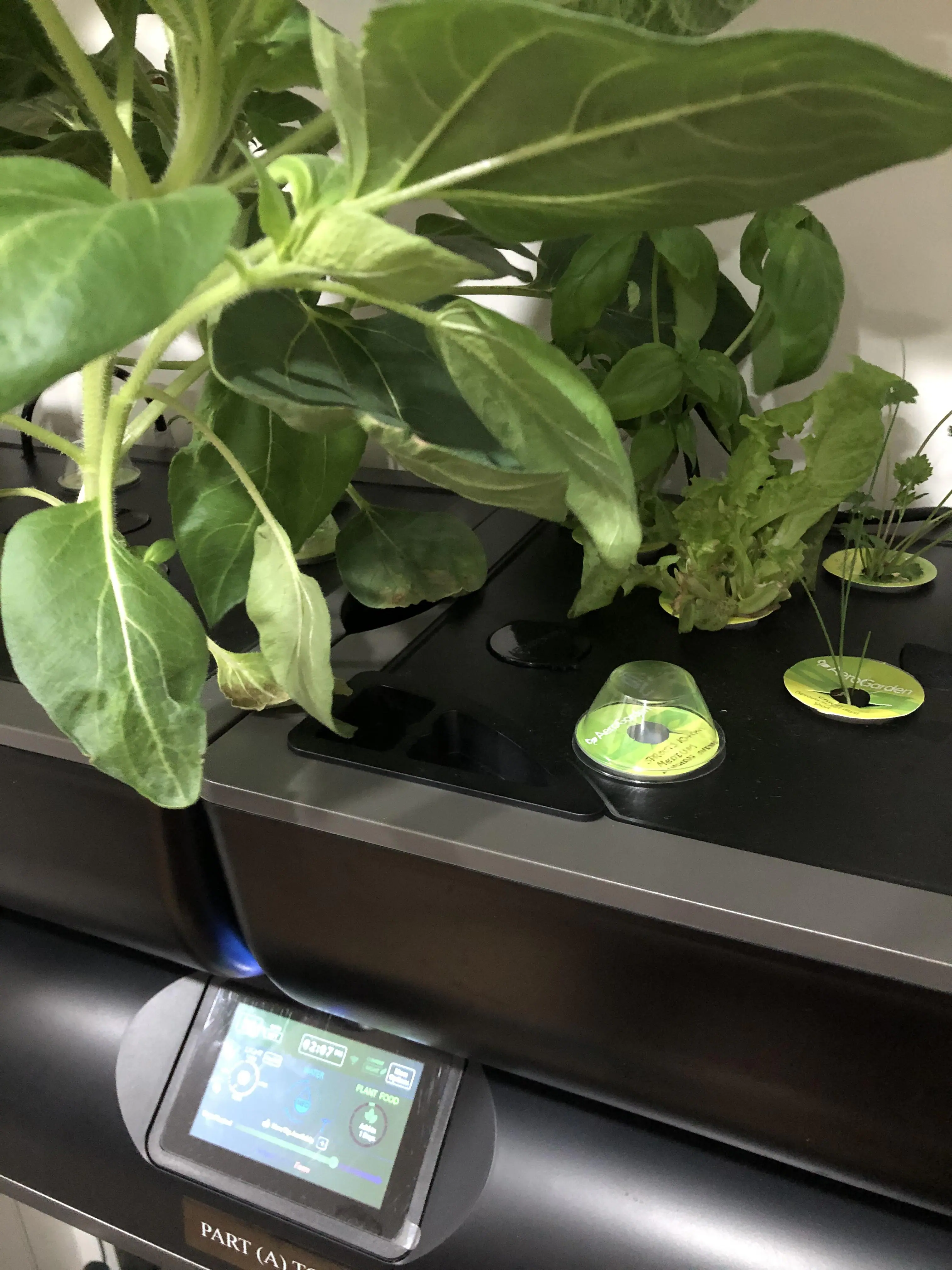 Customer provided image, click to load a larger version