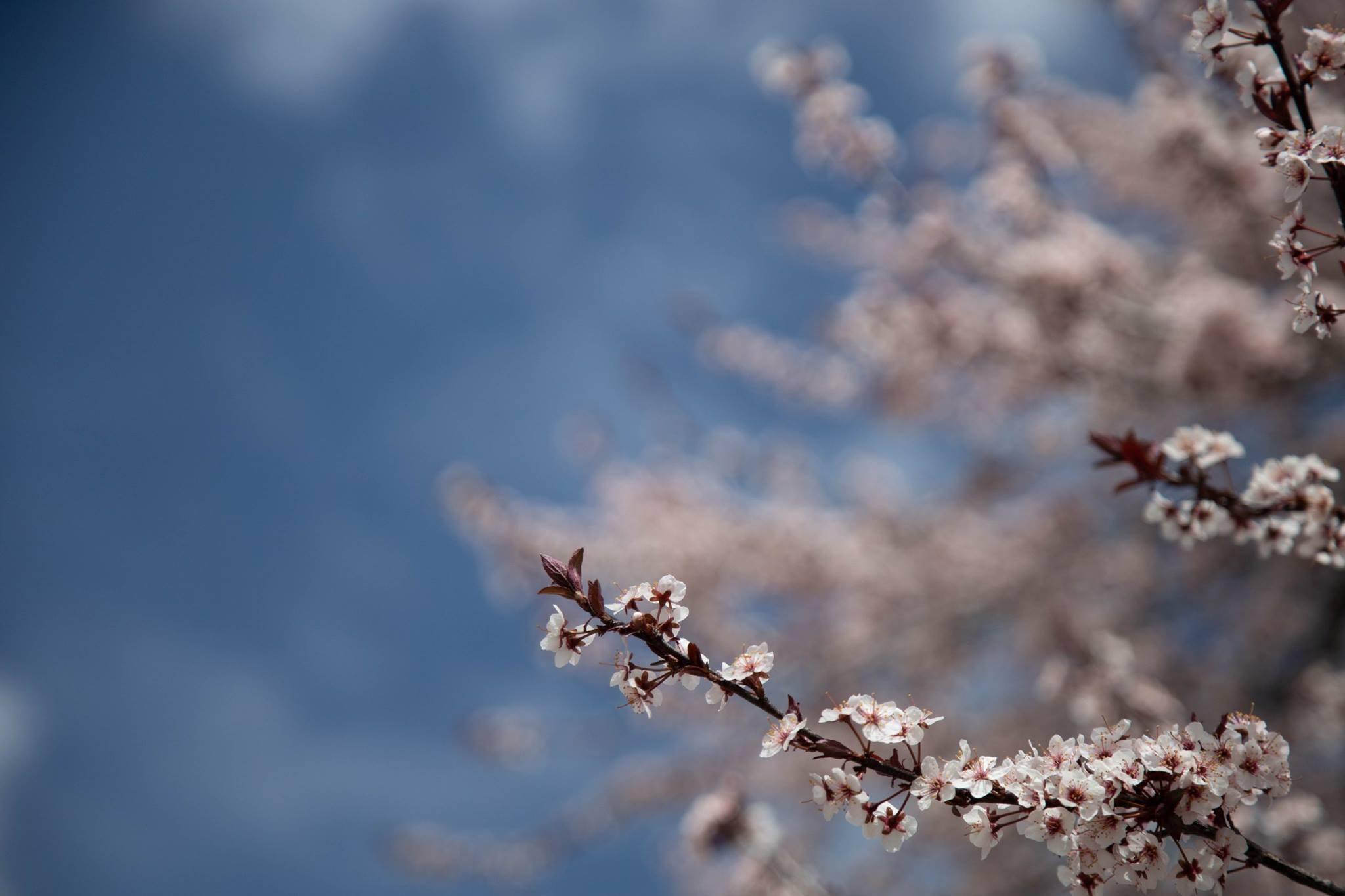 Shot at F4, click to load a larger version