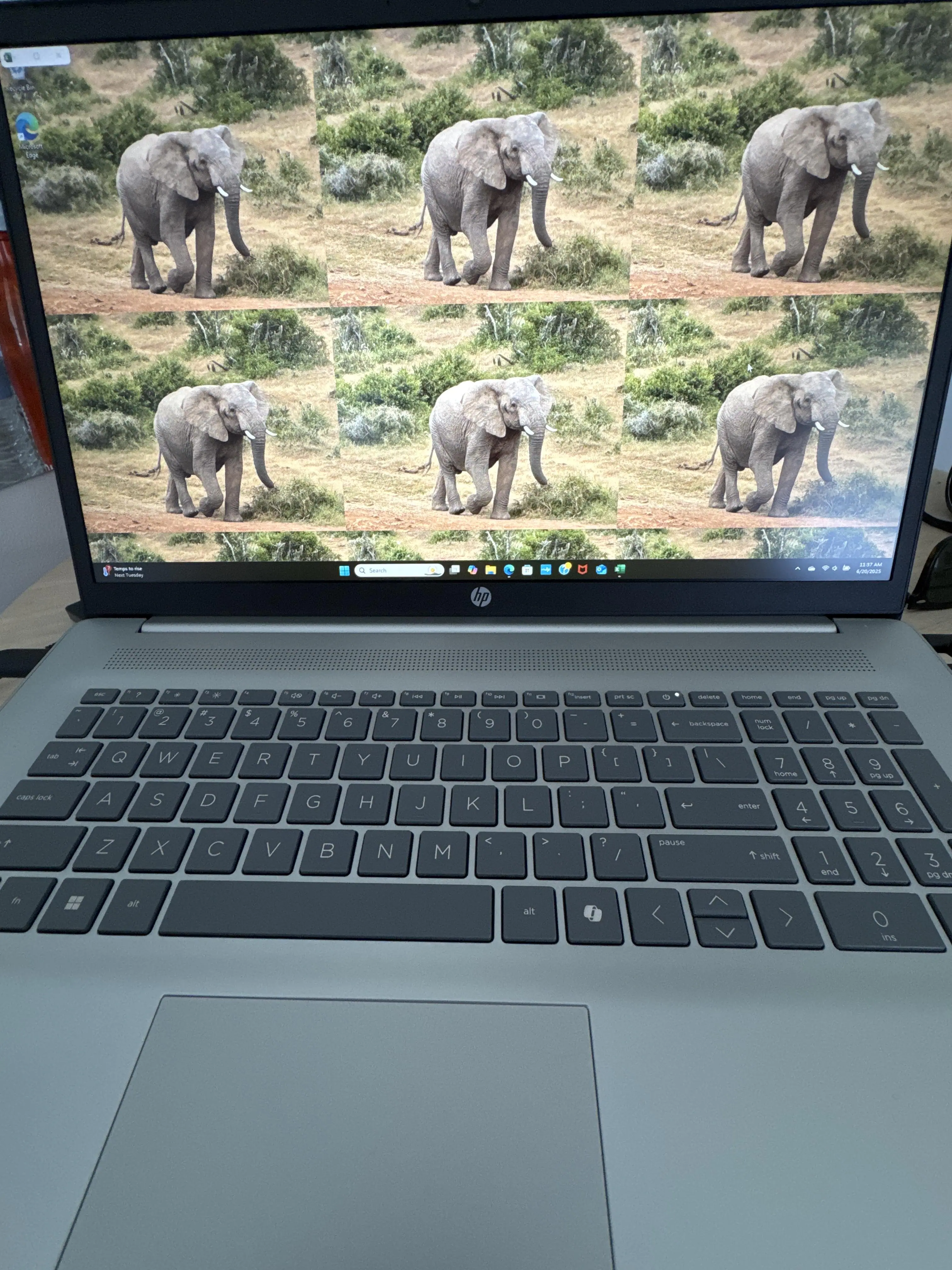 Customer provided image, click to load a larger version