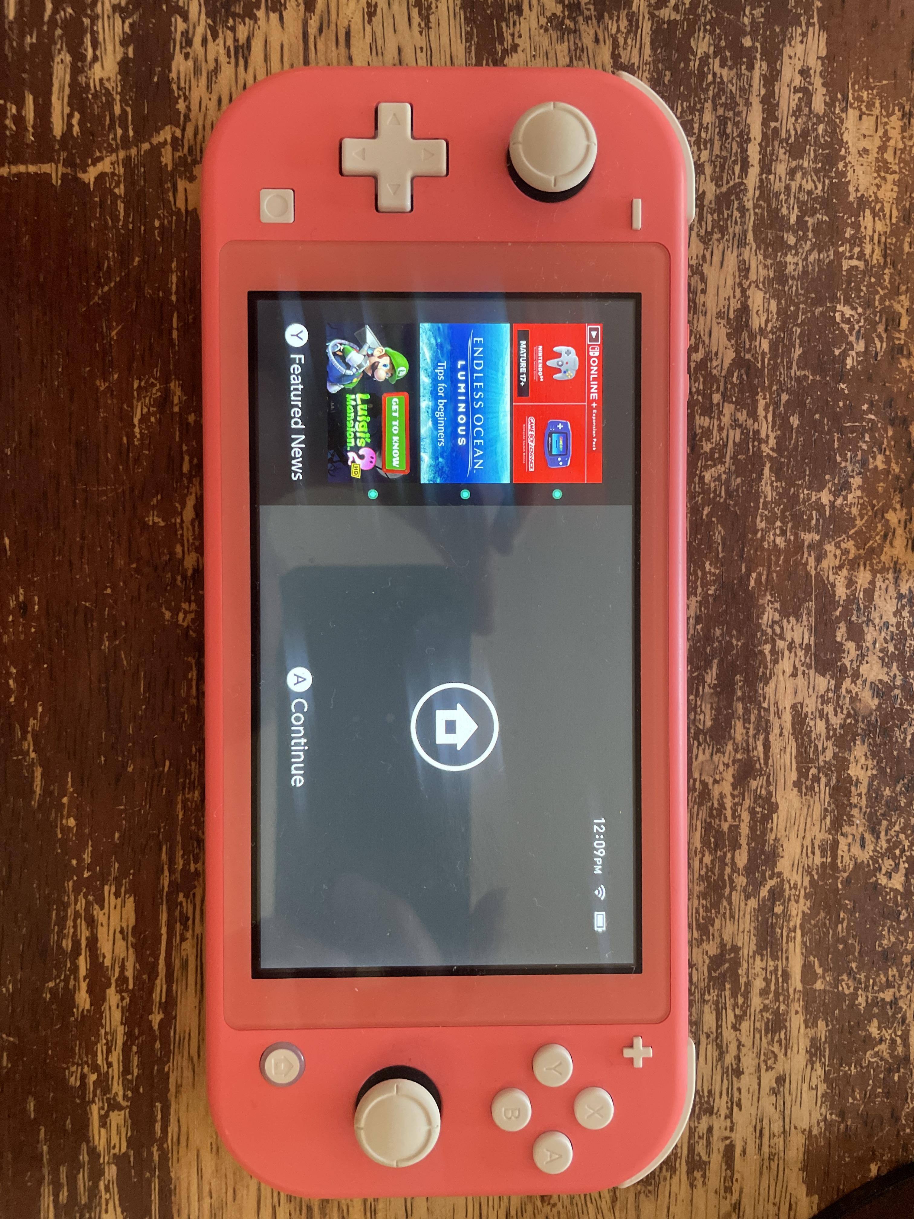Nintendo Switch Lite 
本体付属の
充電器 + ケース Nintendo Switch Lite - Gray, Handheld Game, New