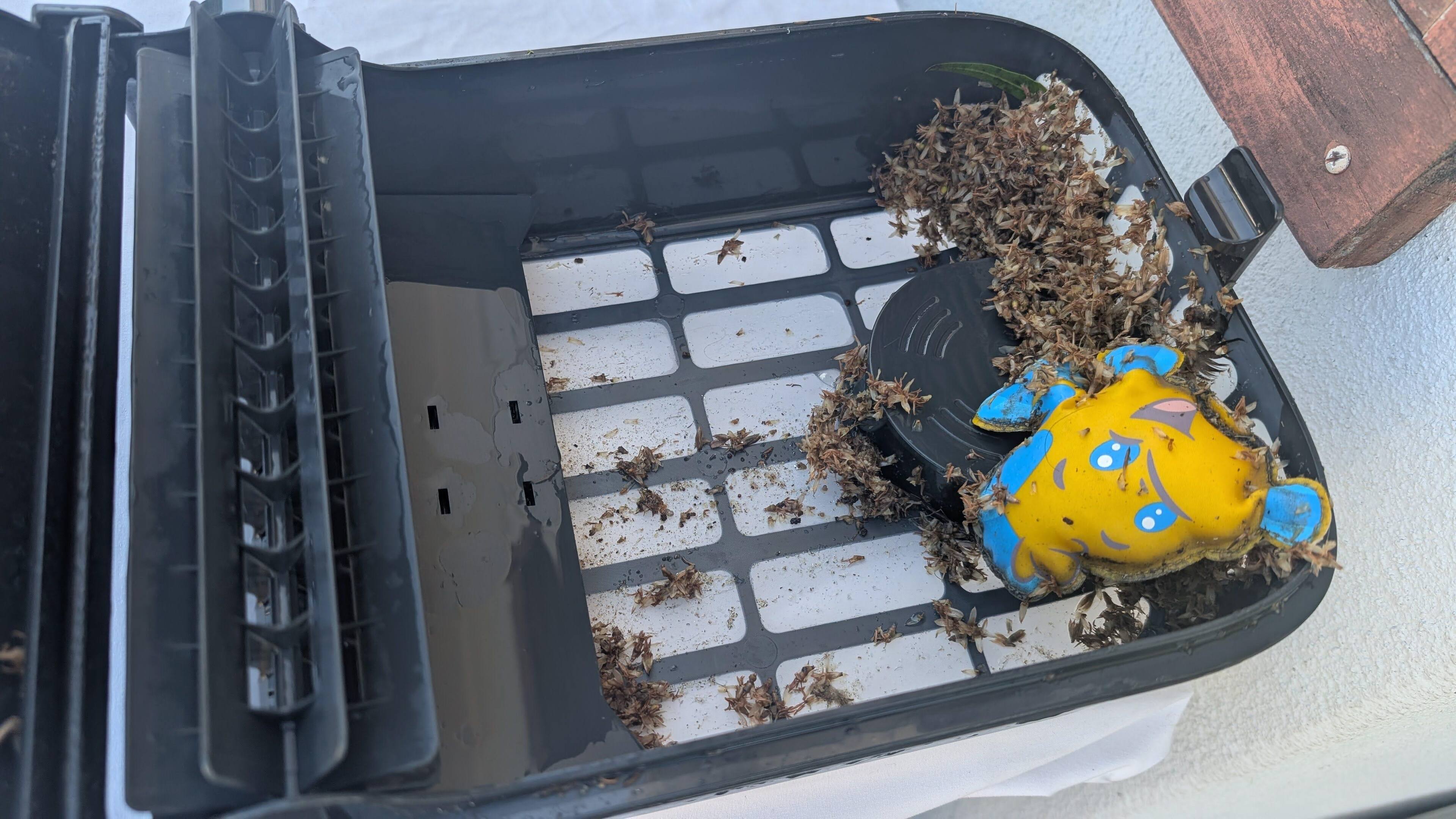 Customer provided image, click to load a larger version