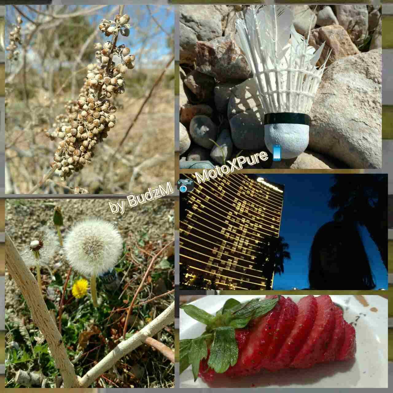 CAPTURED BY MOTOXPURE, click to load a larger version