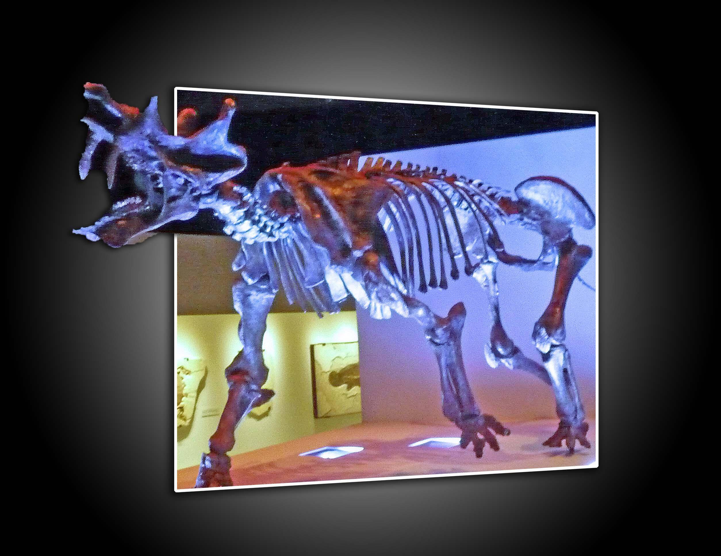 Out-a-frame effect, click to load a larger version