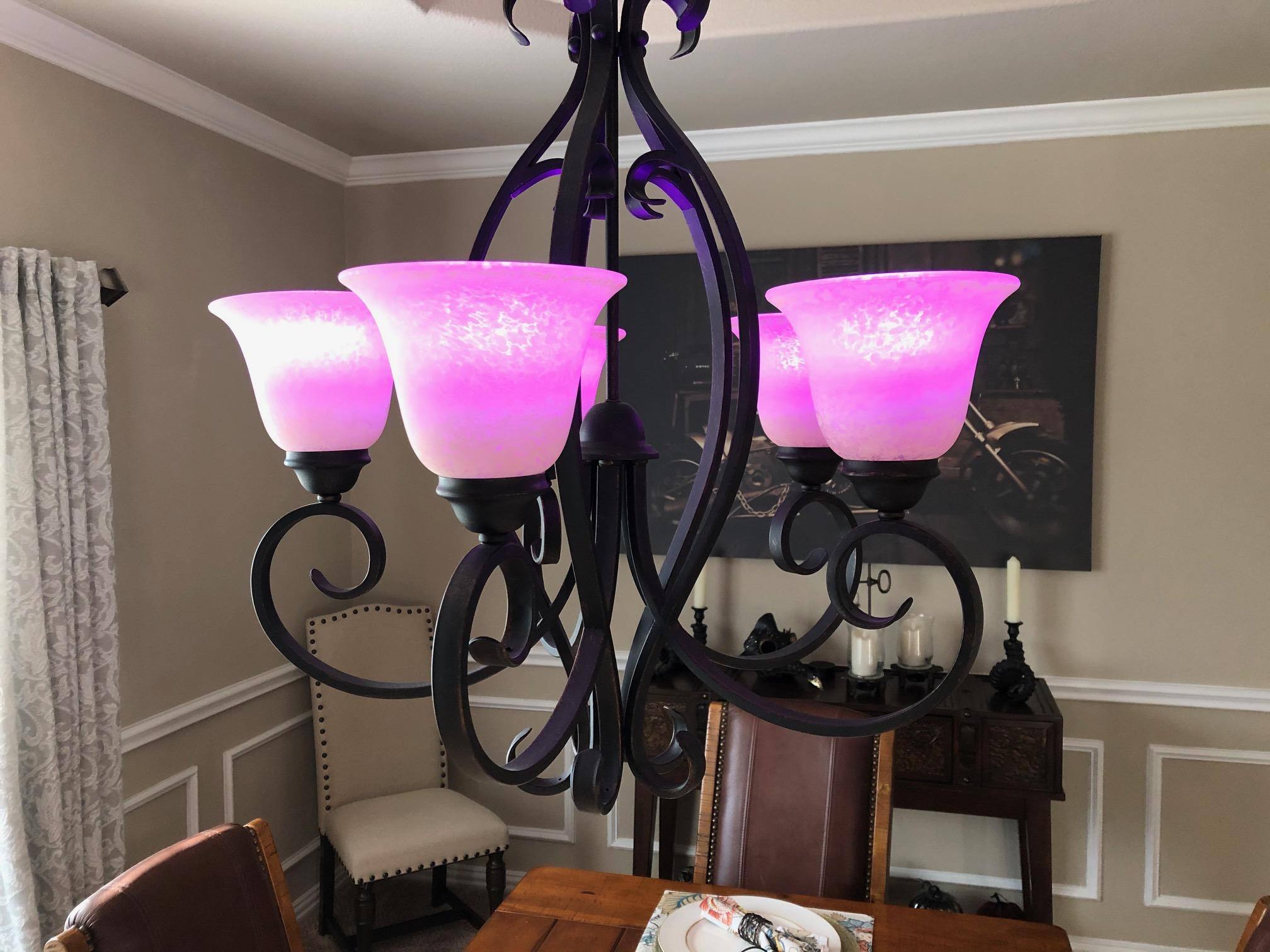 Purple. 100% brightness., click to load a larger version