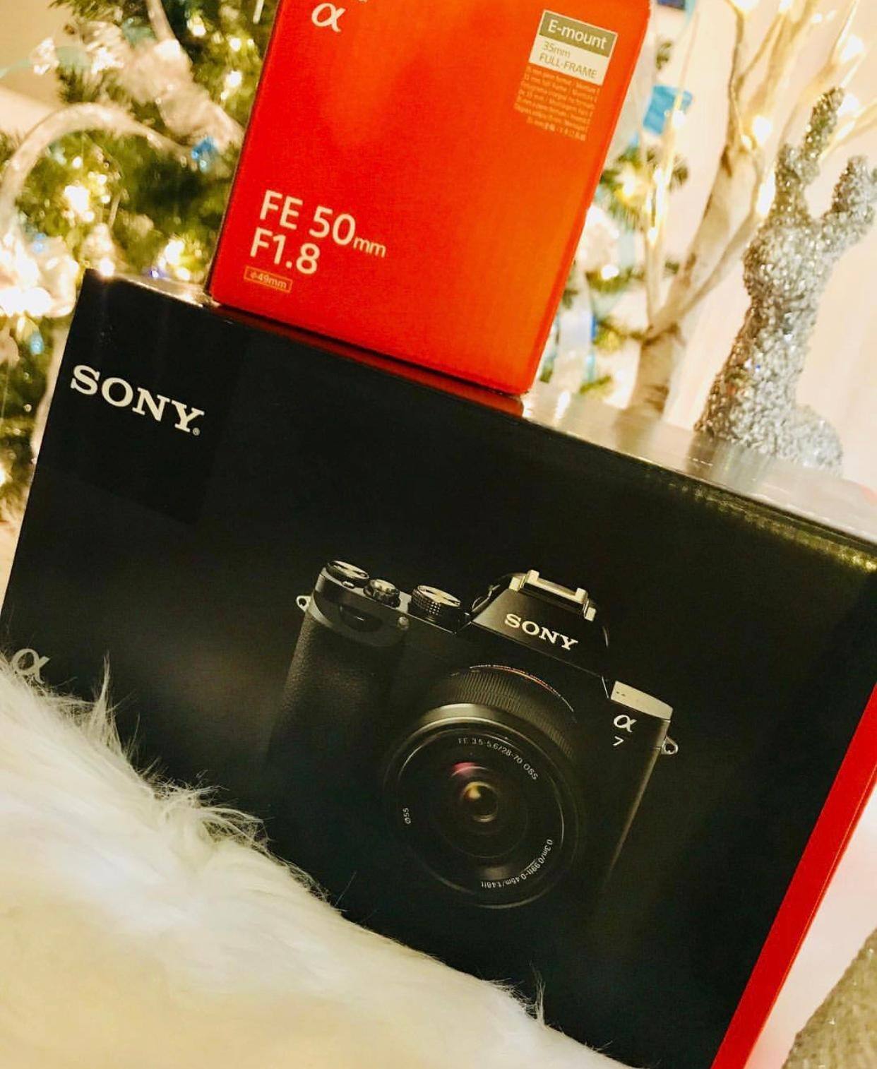 Sony a7, click to load a larger version