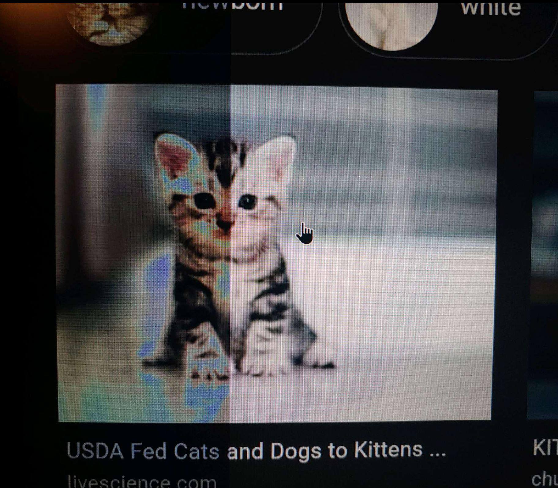 Customer provided image, click to load a larger version