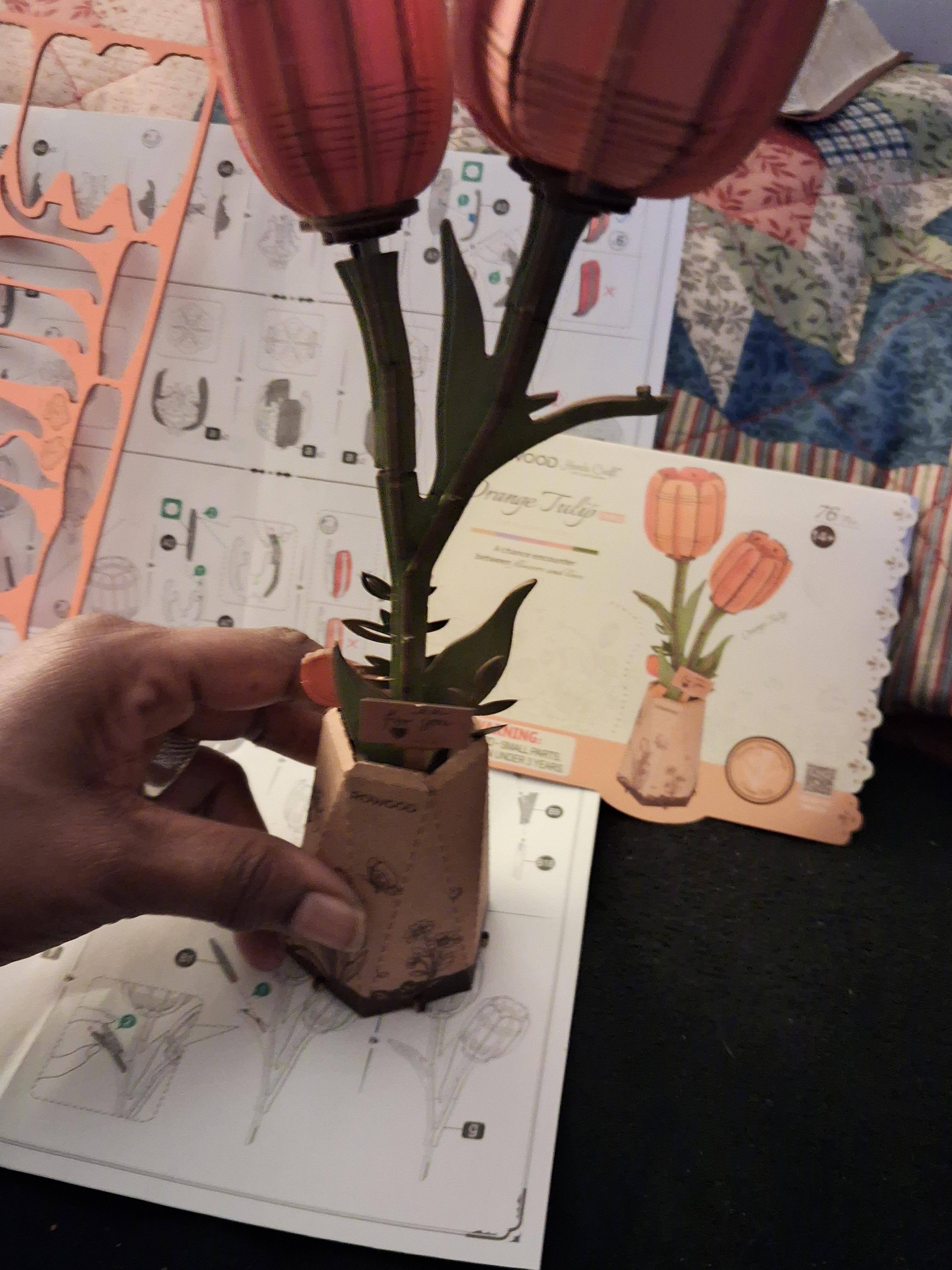 Customer provided image, click to load a larger version