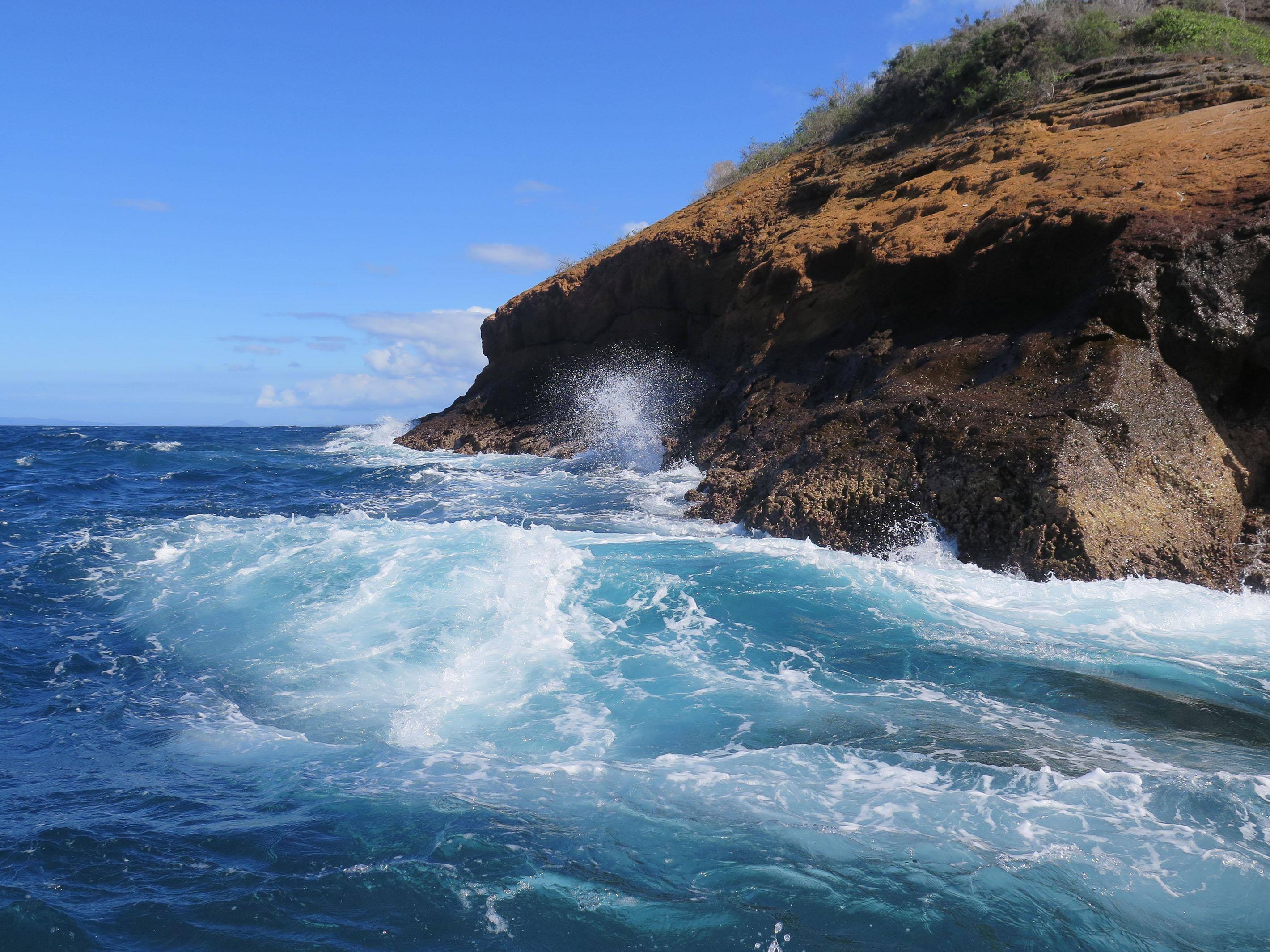 Auto mode, cropped but no other adjustments, click to load a larger version