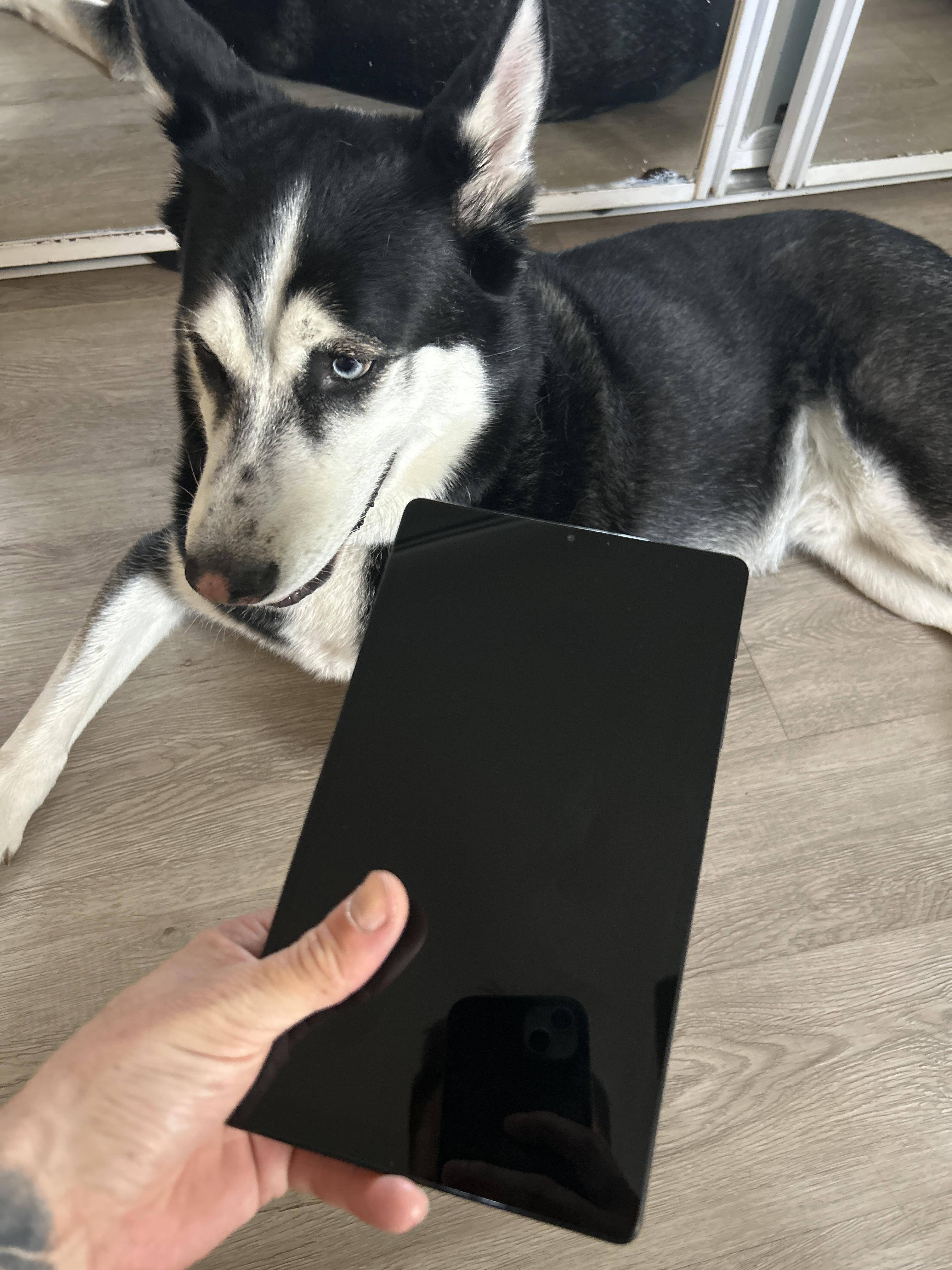 Customer provided, click to load a larger version