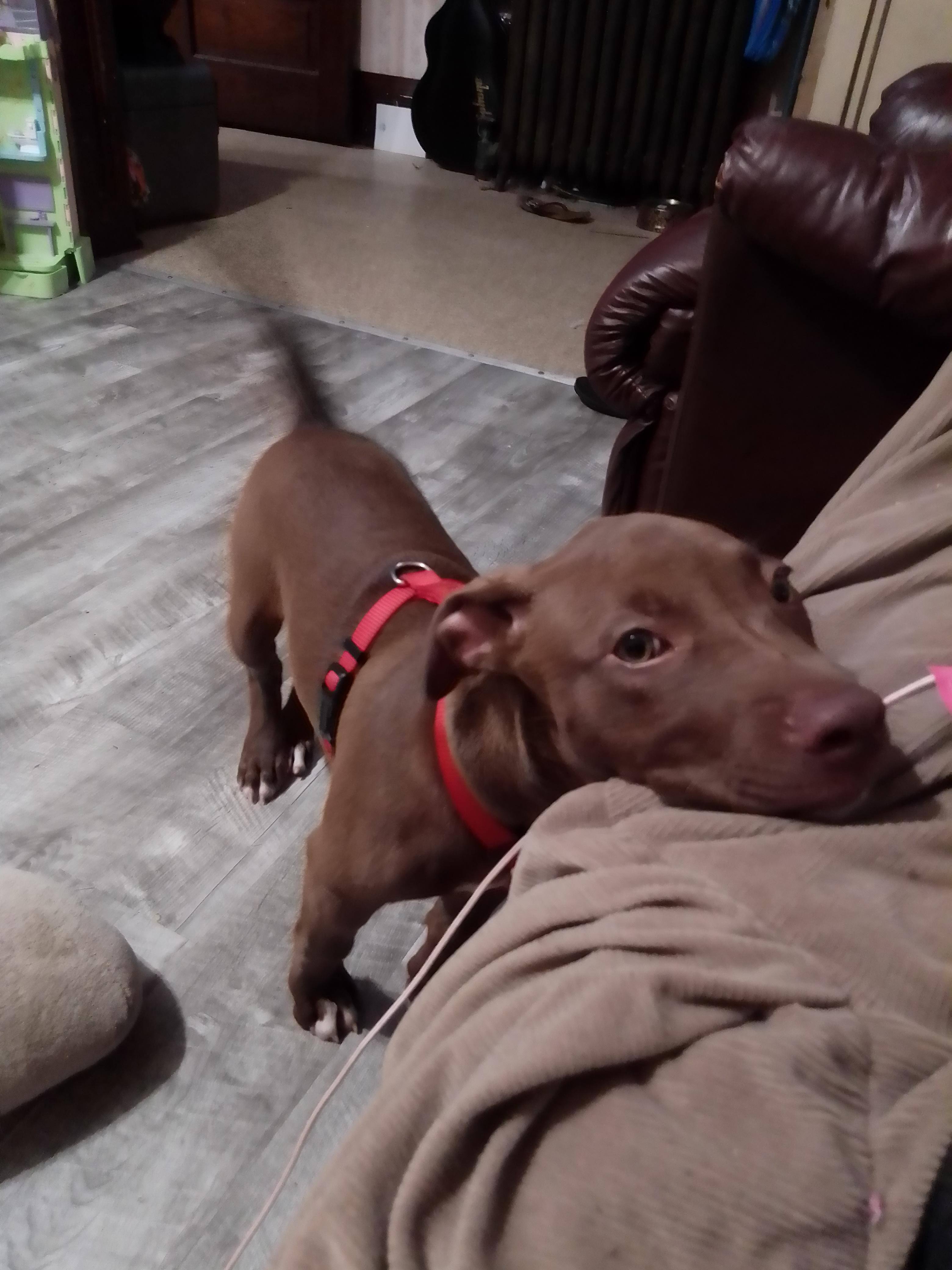 Customer provided image, click to load a larger version