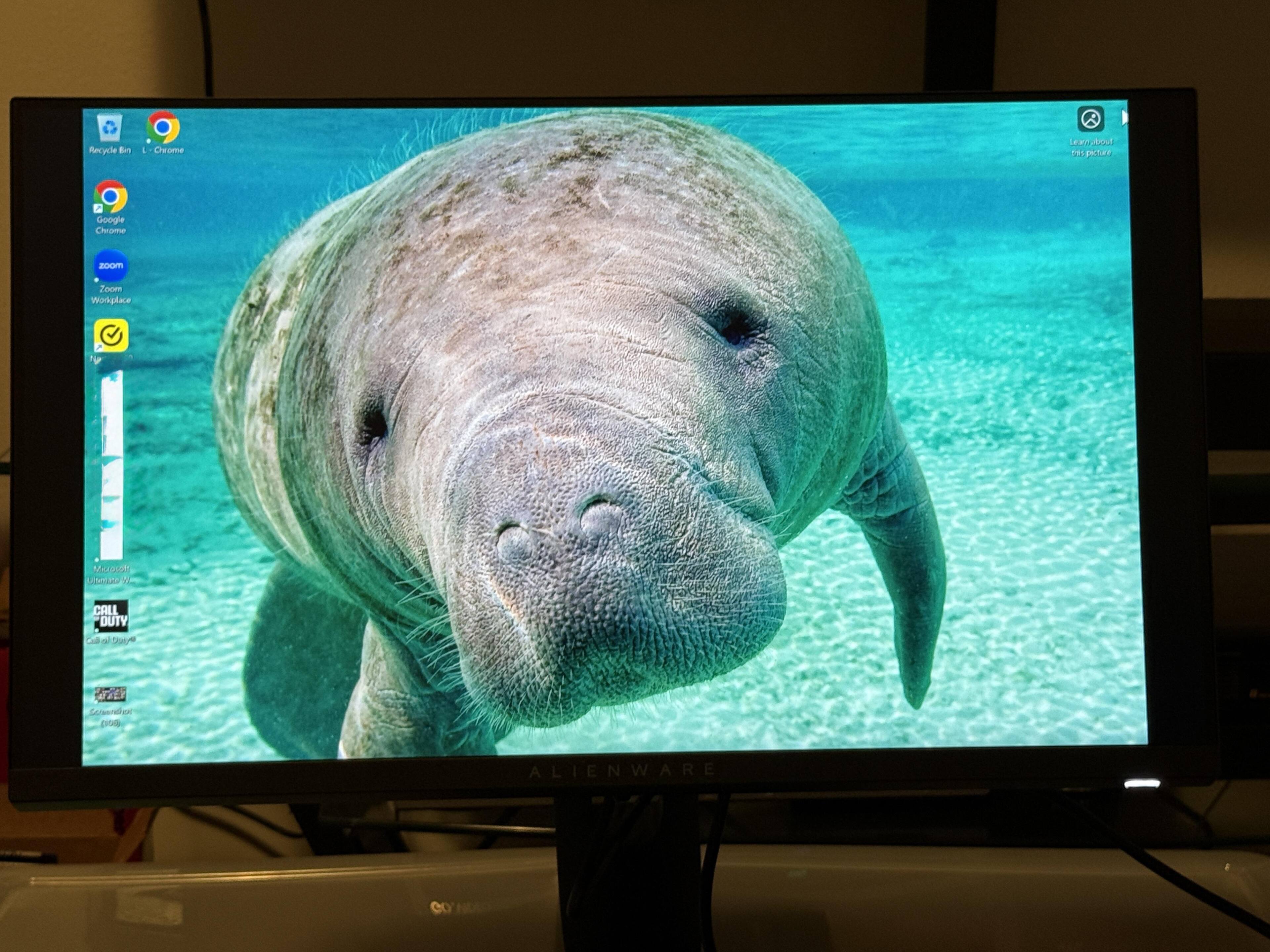 Customer provided image, click to load a larger version