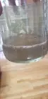 the water after using it on a supposedly clean tile, click to load a larger version