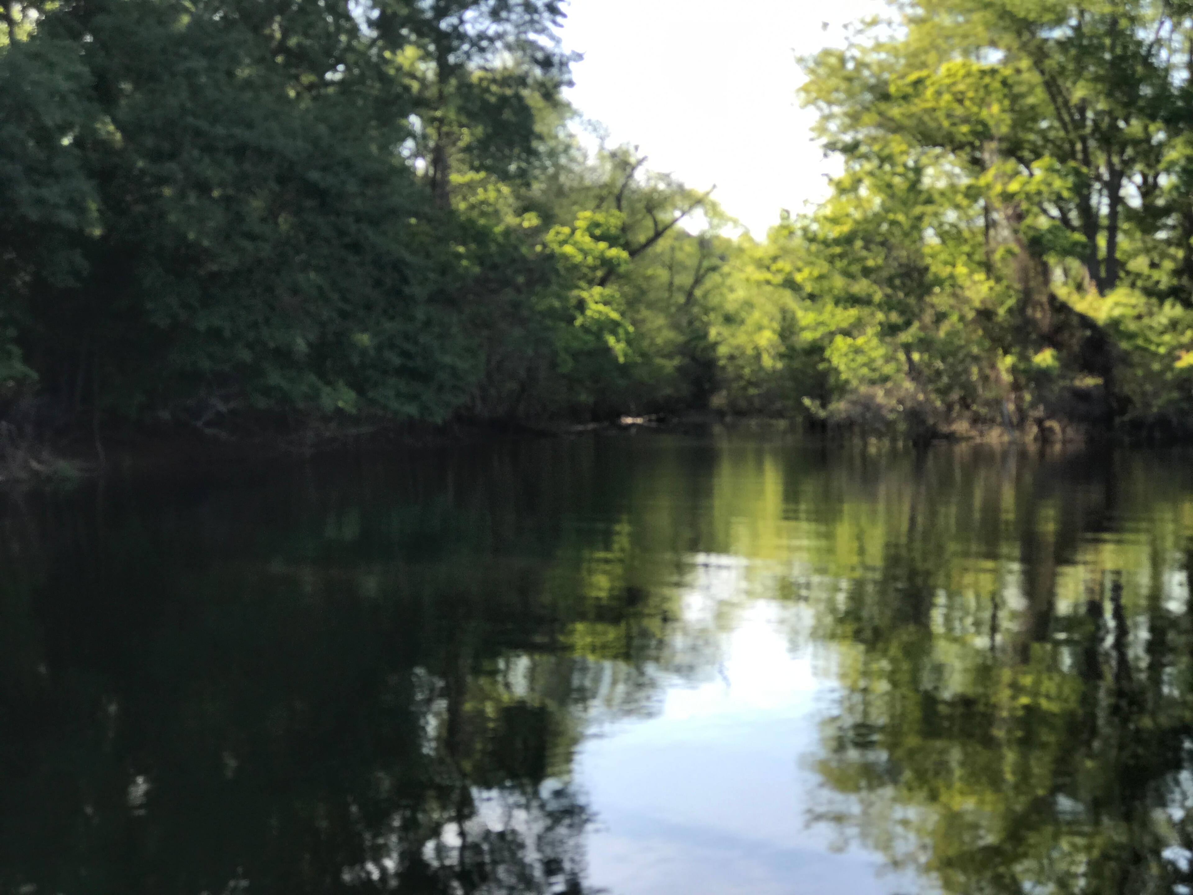 Toledo Bend Texas, click to load a larger version