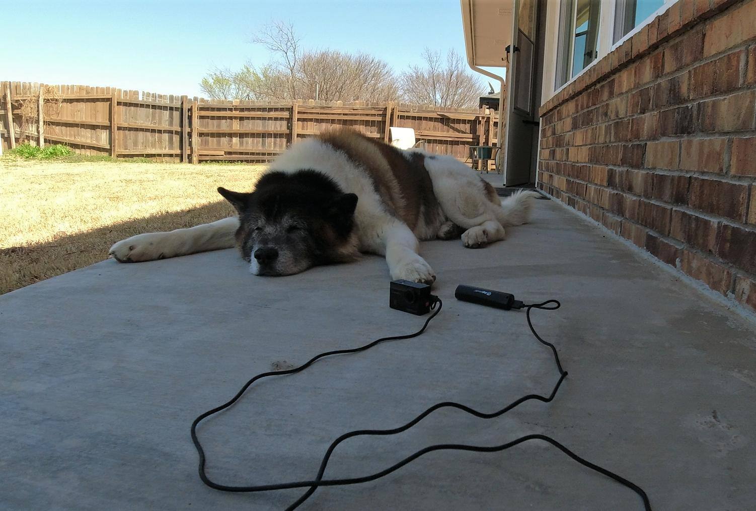 Customer provided image, click to load a larger version